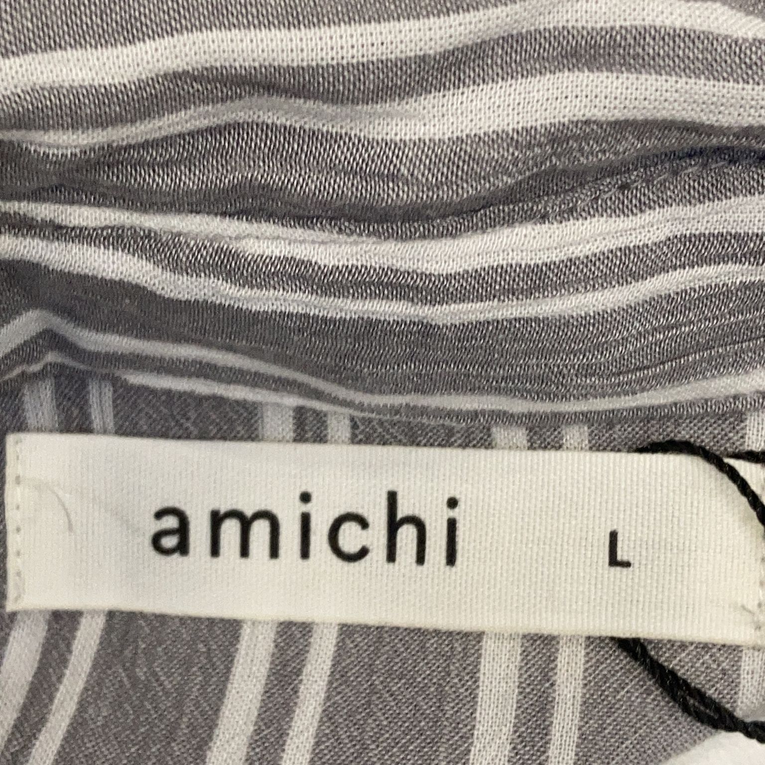 Amichi