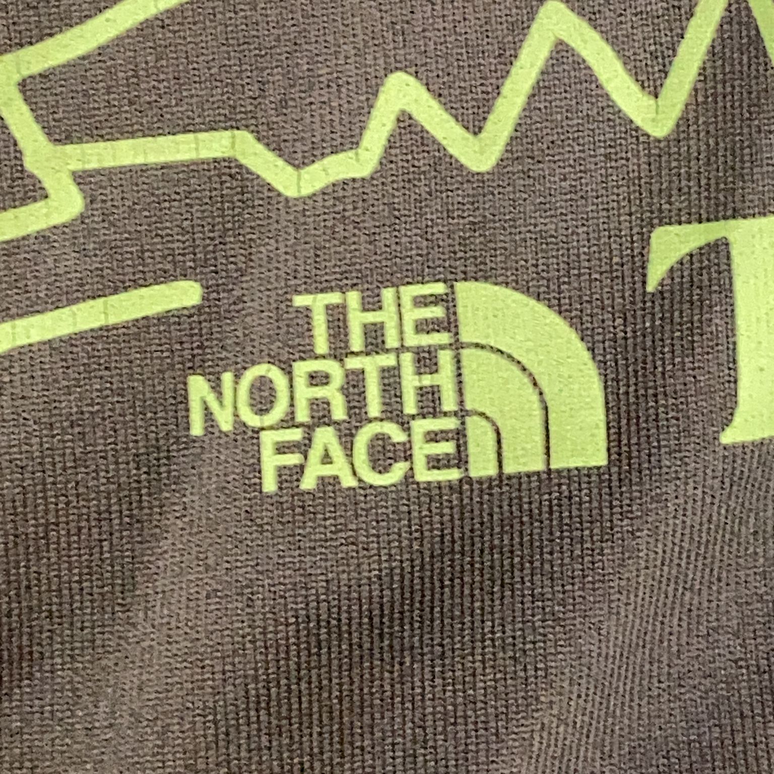 The North Face