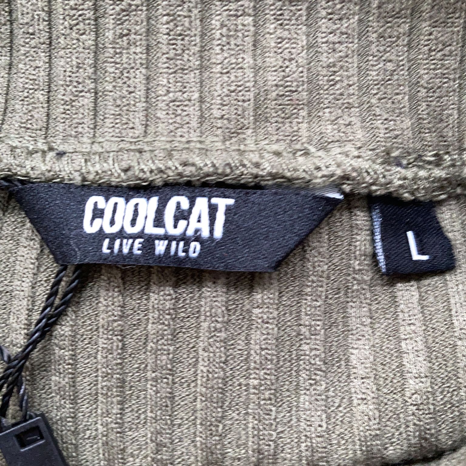 CoolCat