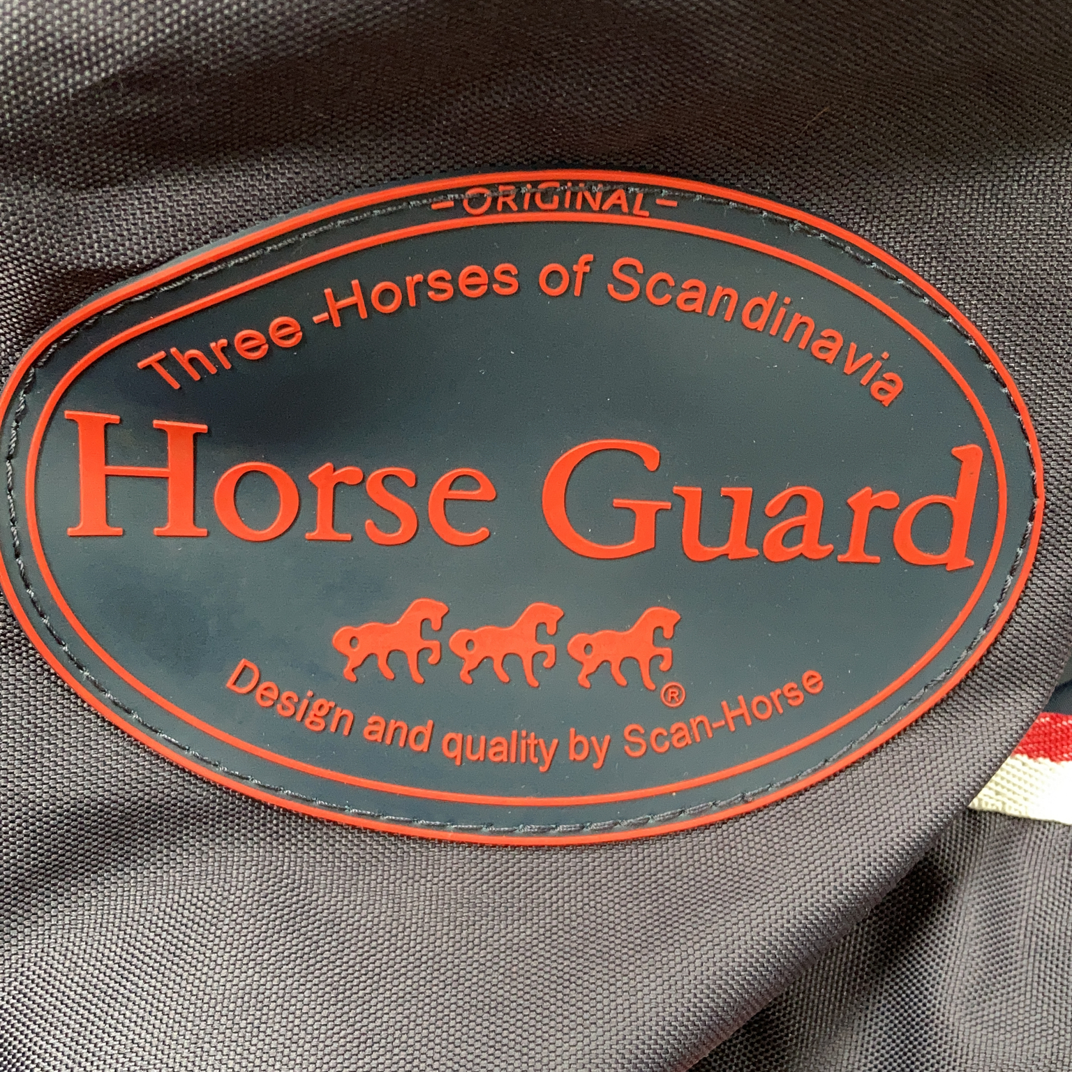 Horse Guard