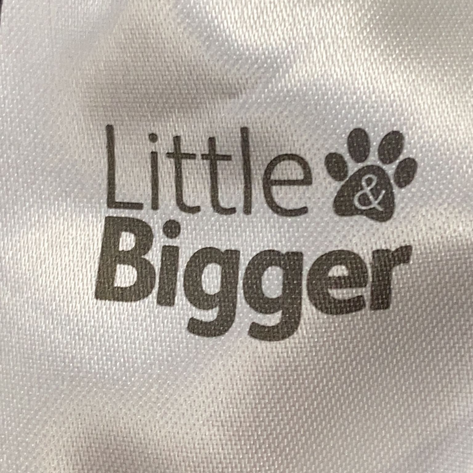 Little  Bigger