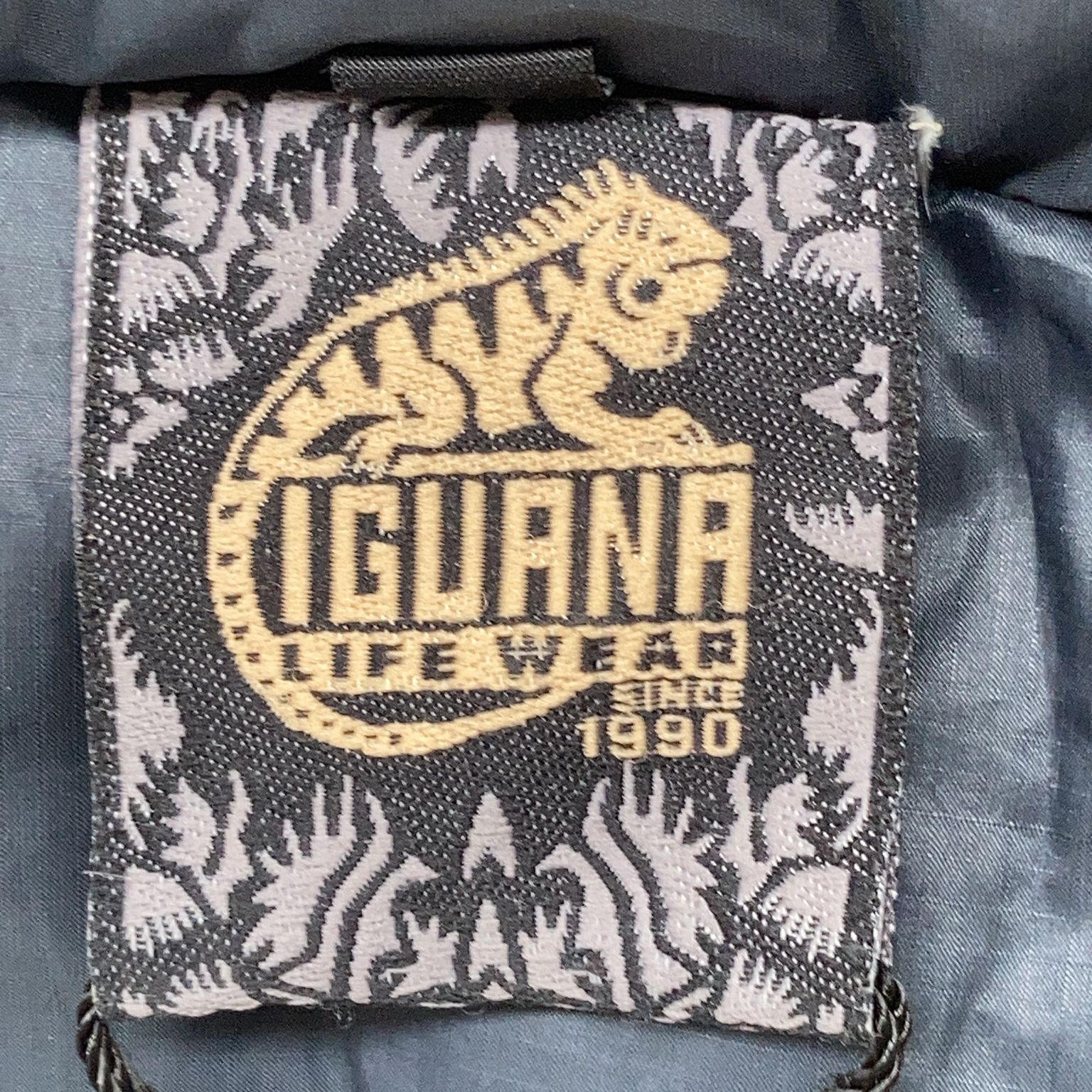 Iguana