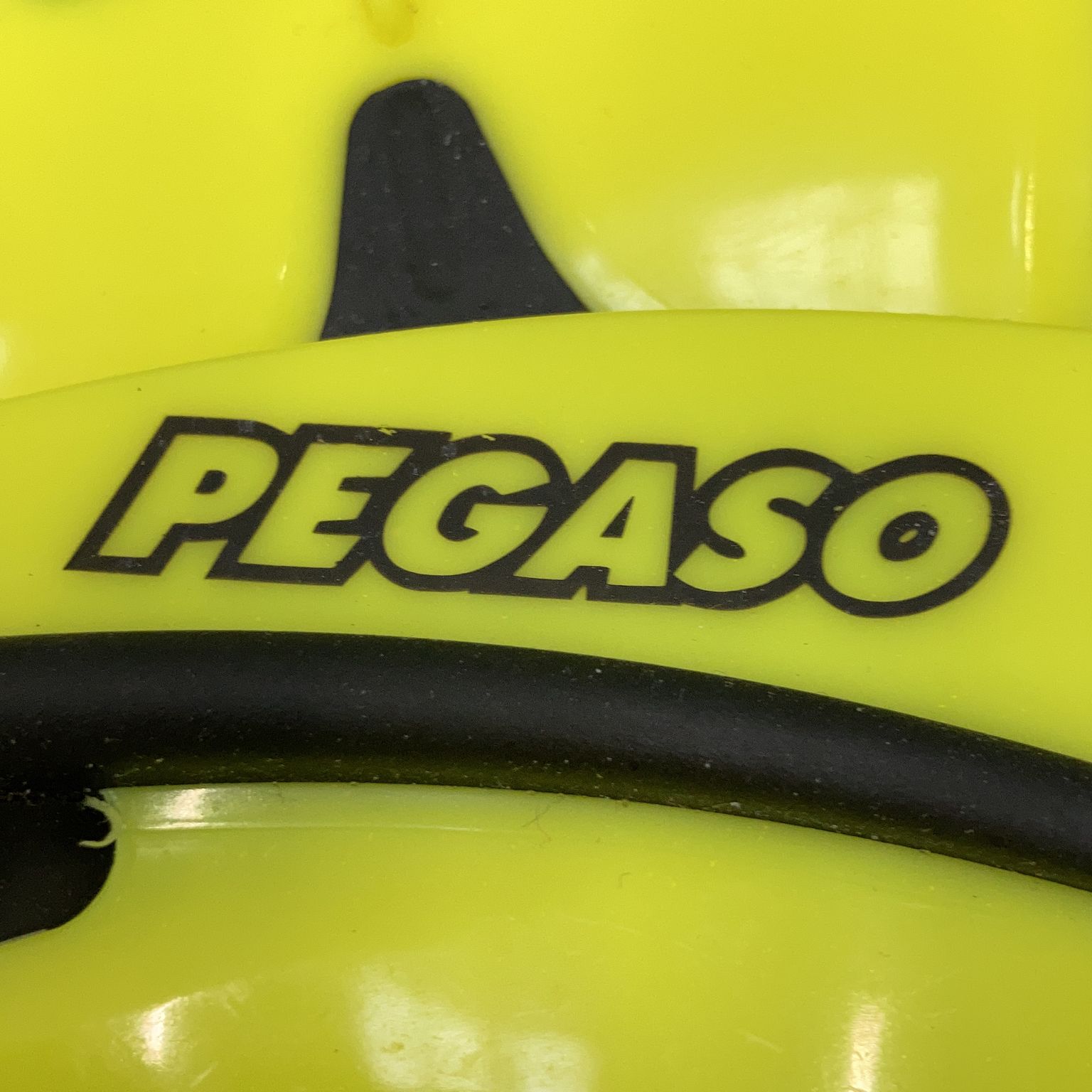 Pegaso