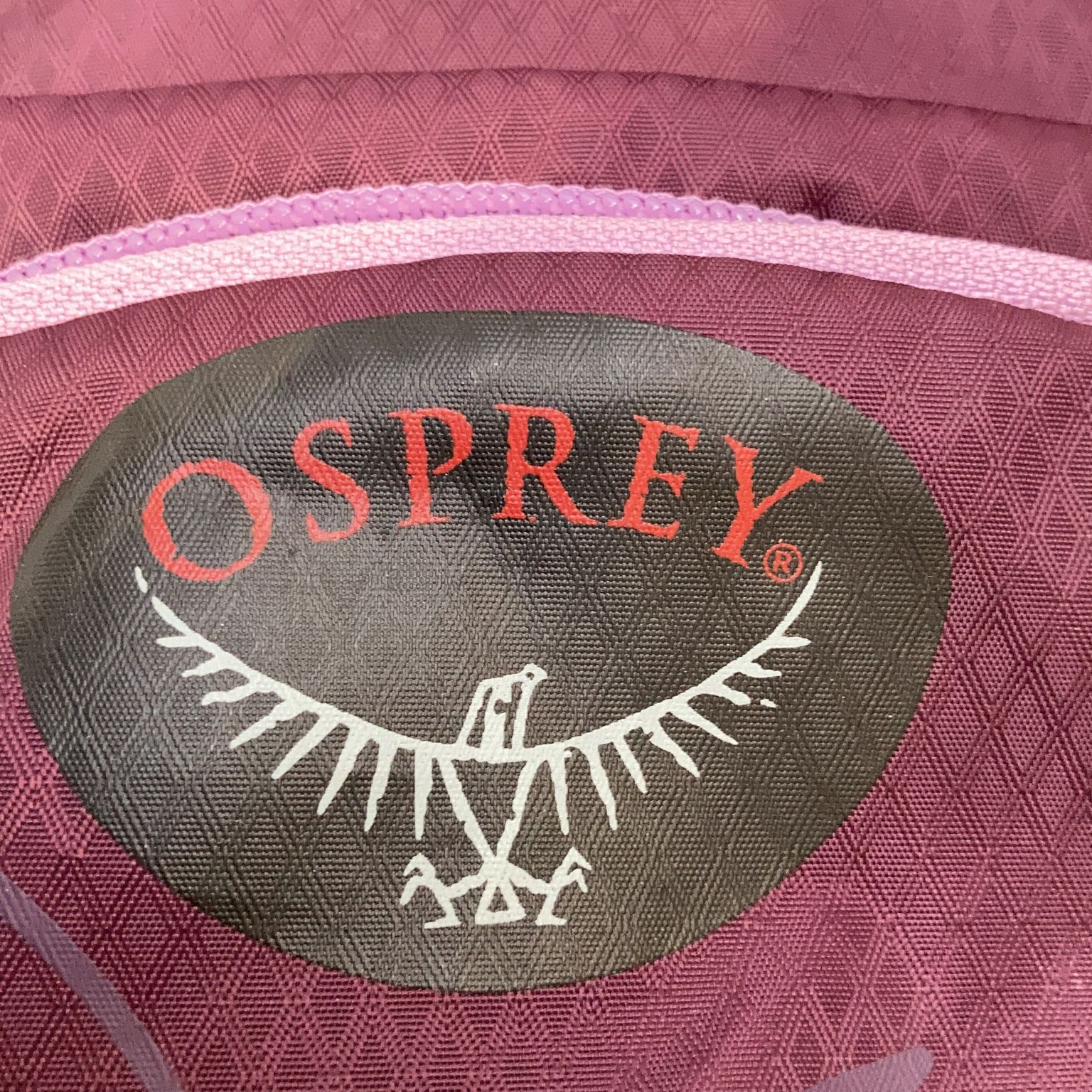 Osprey