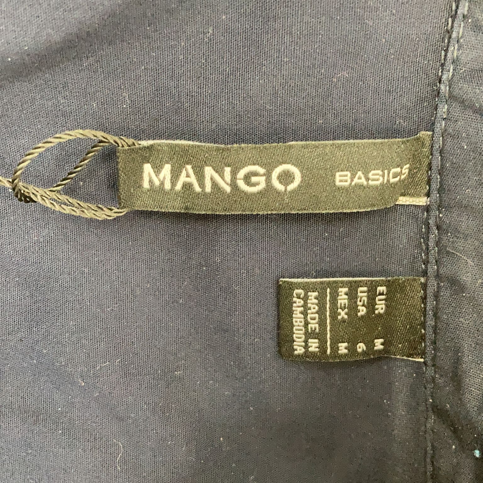 Mango Basics