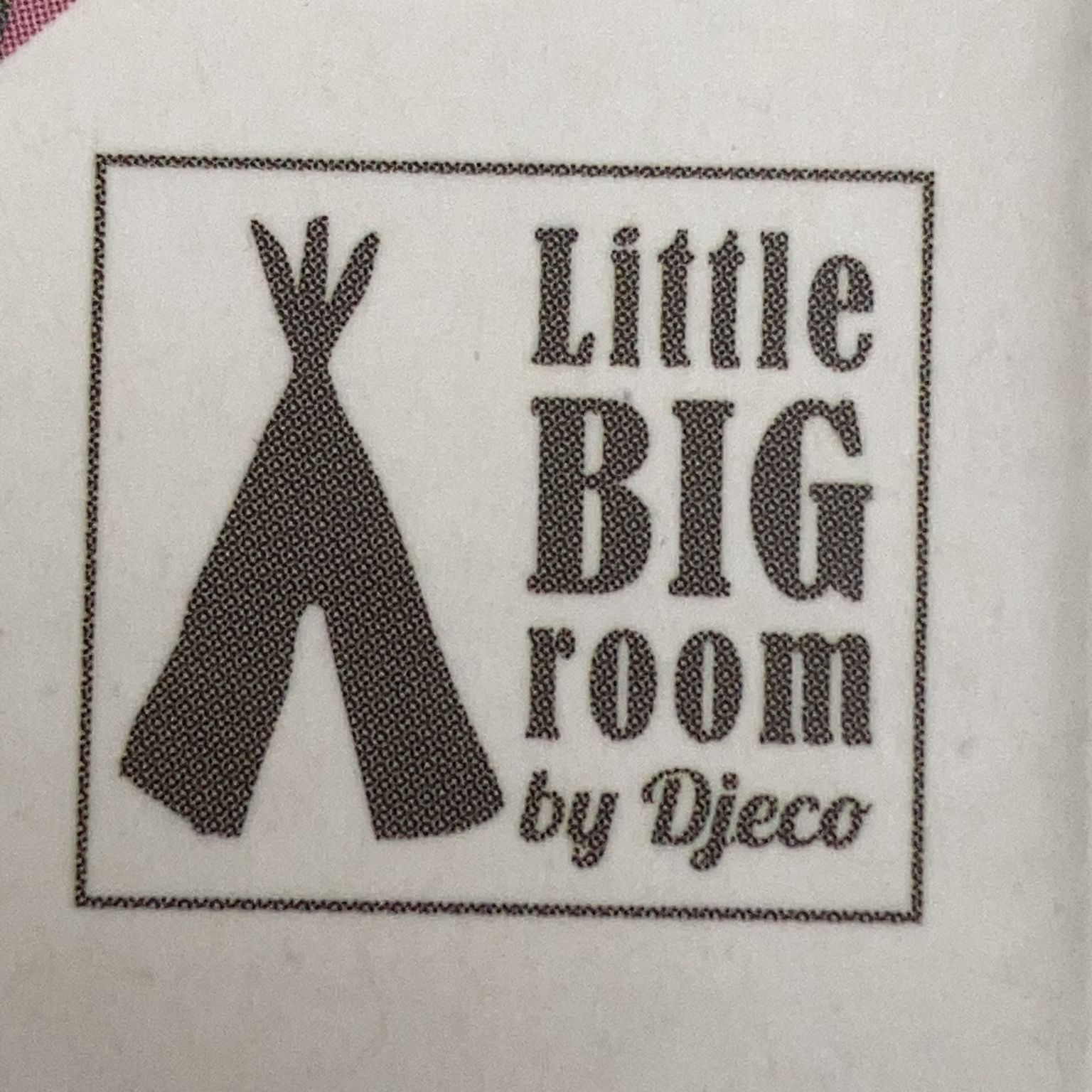 Little Big Room by Djeco