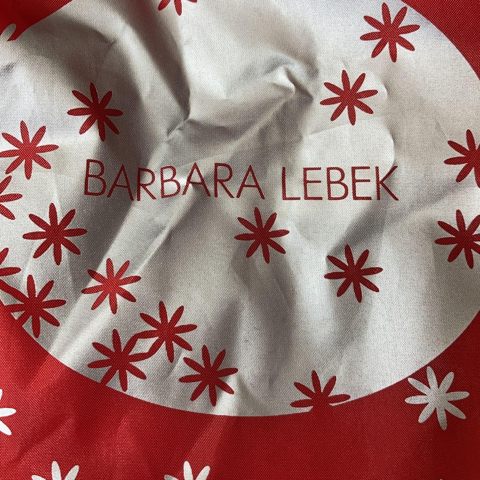 Barbara Lebek