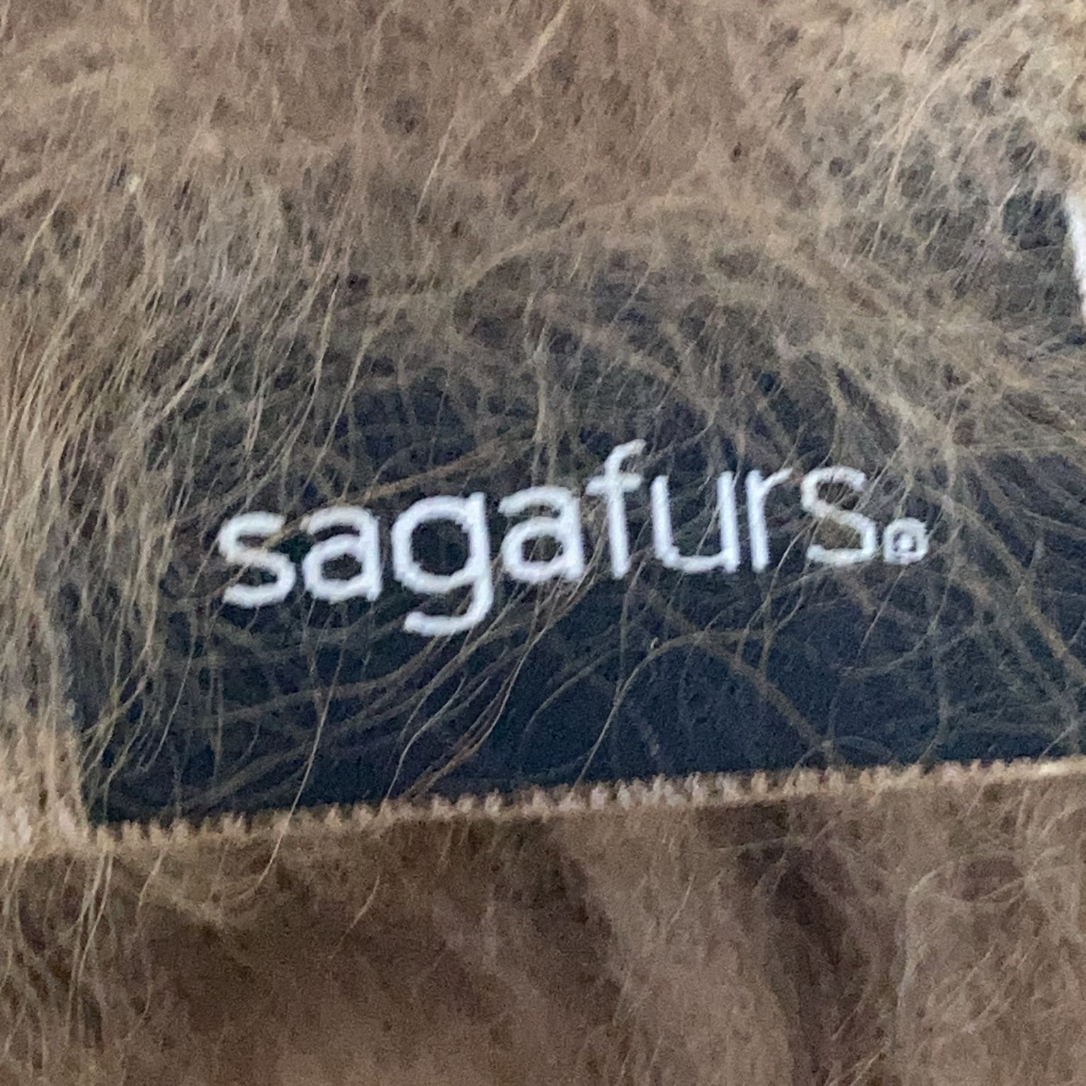 Sagafurs