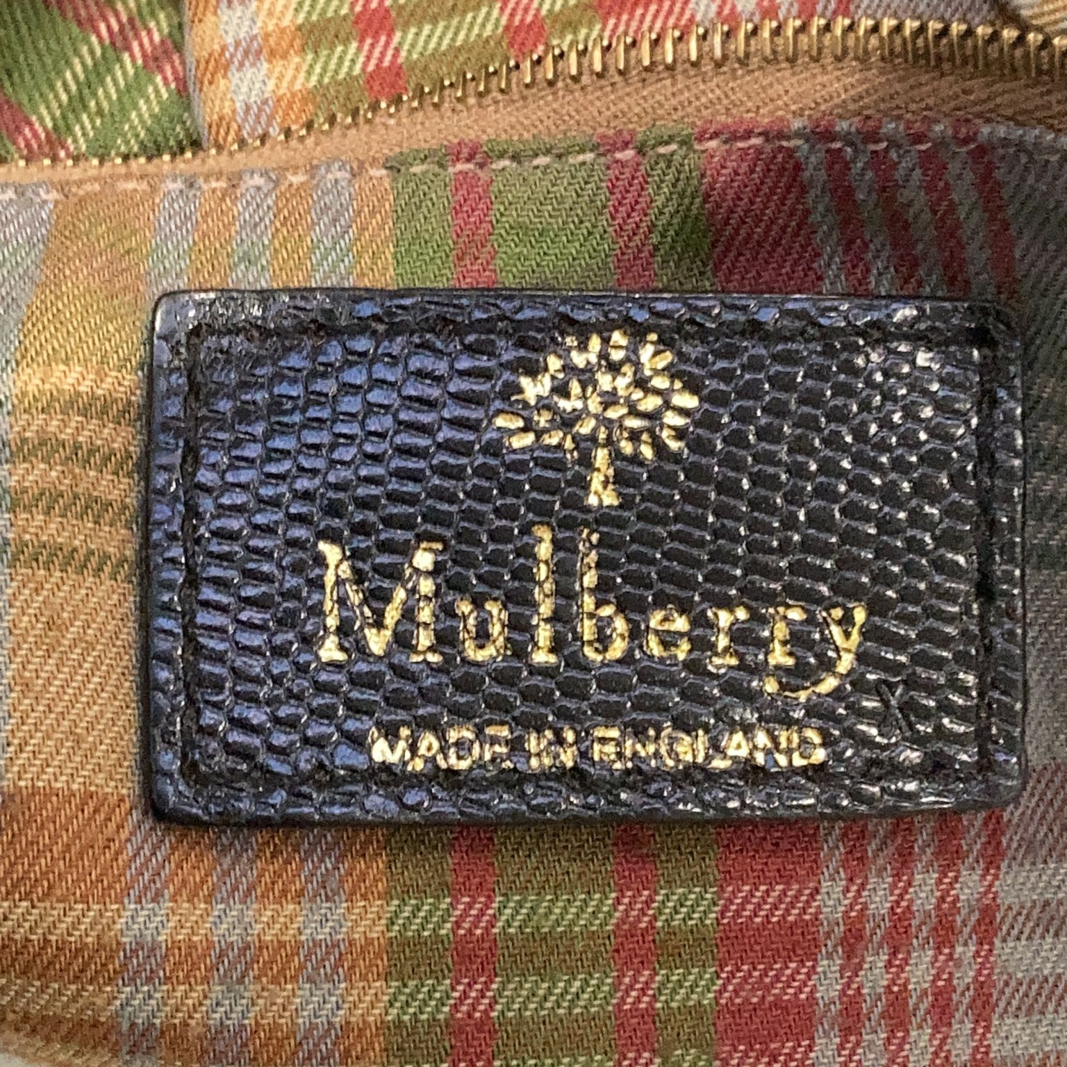 Mulberry