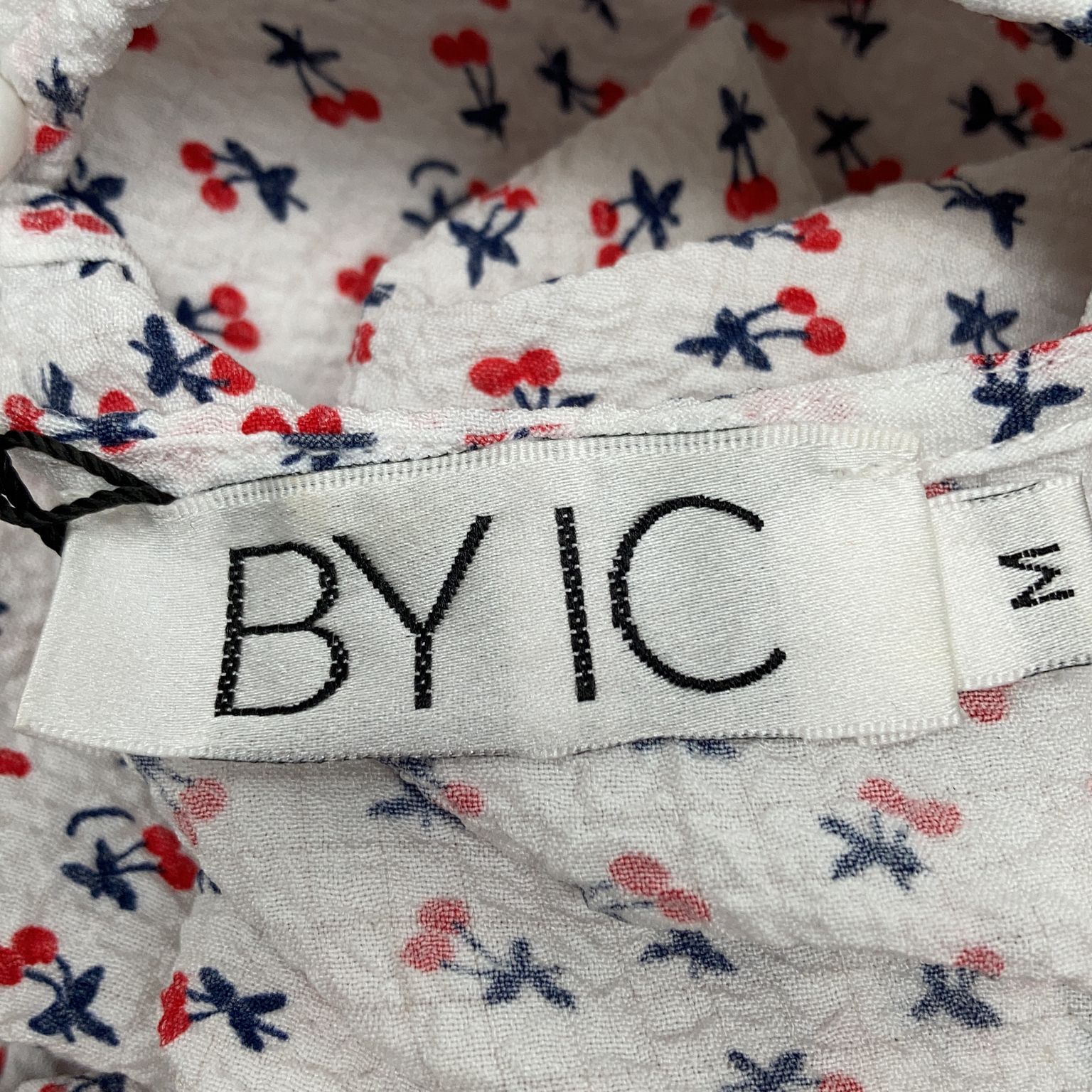 BYIC