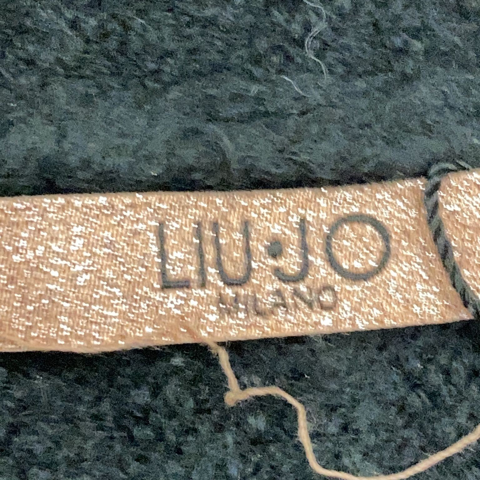 Liu Jo