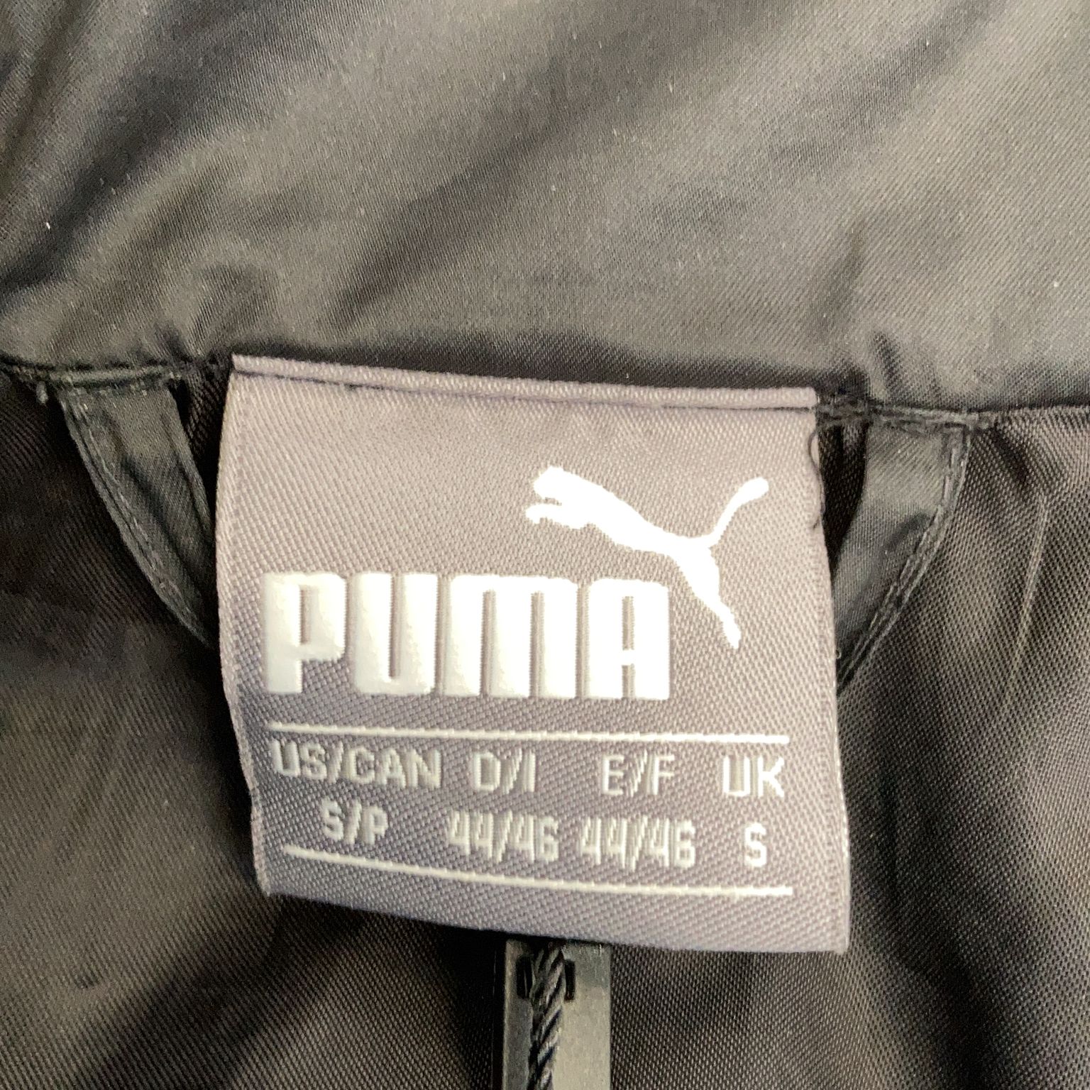 Puma