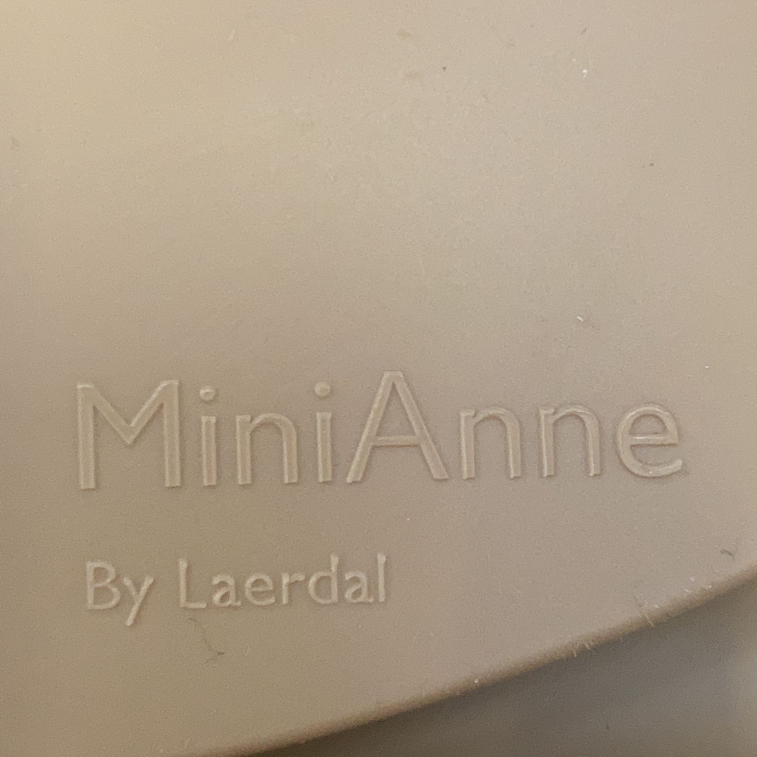 MiniAnne