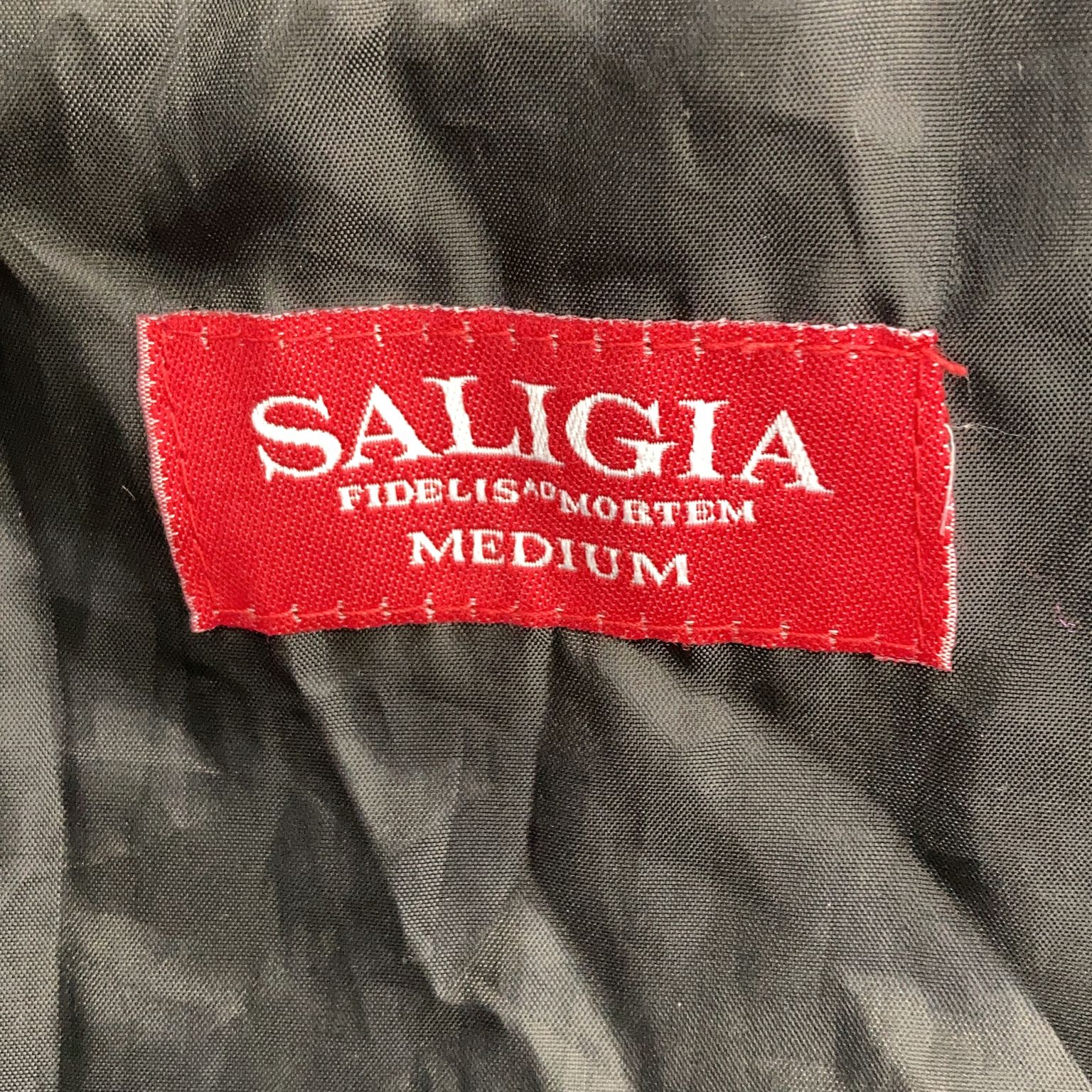 Saligia