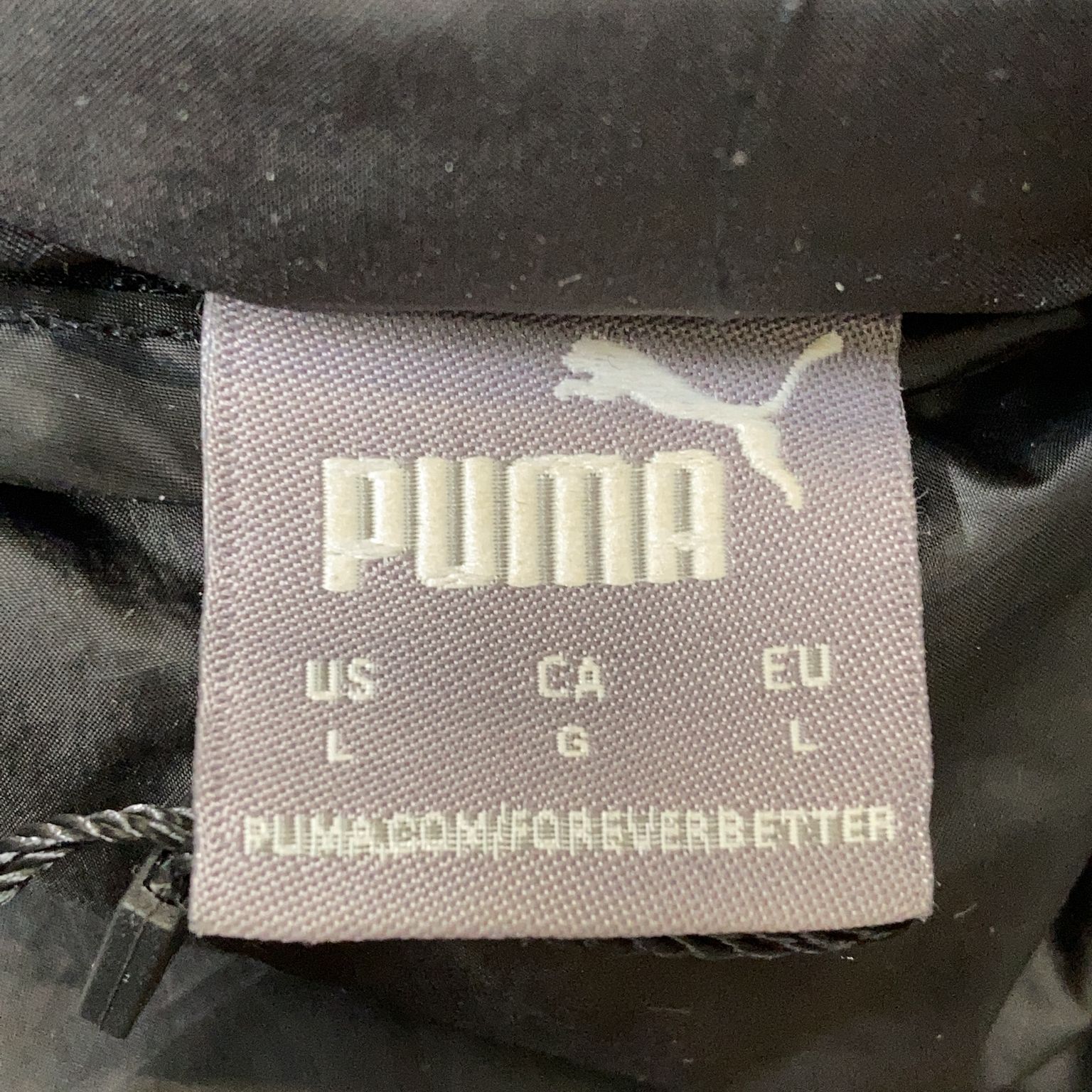 Puma