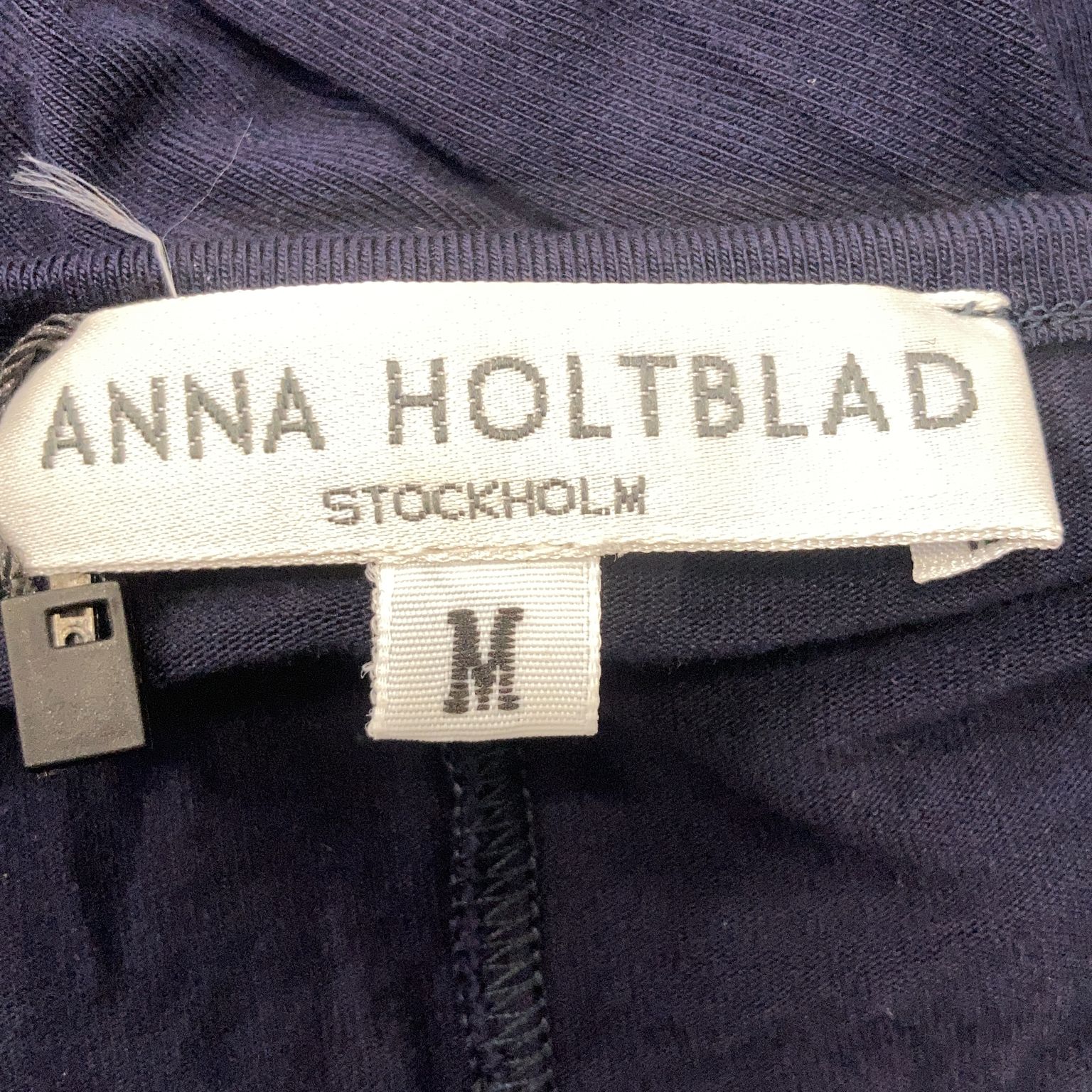 Anna Holtblad