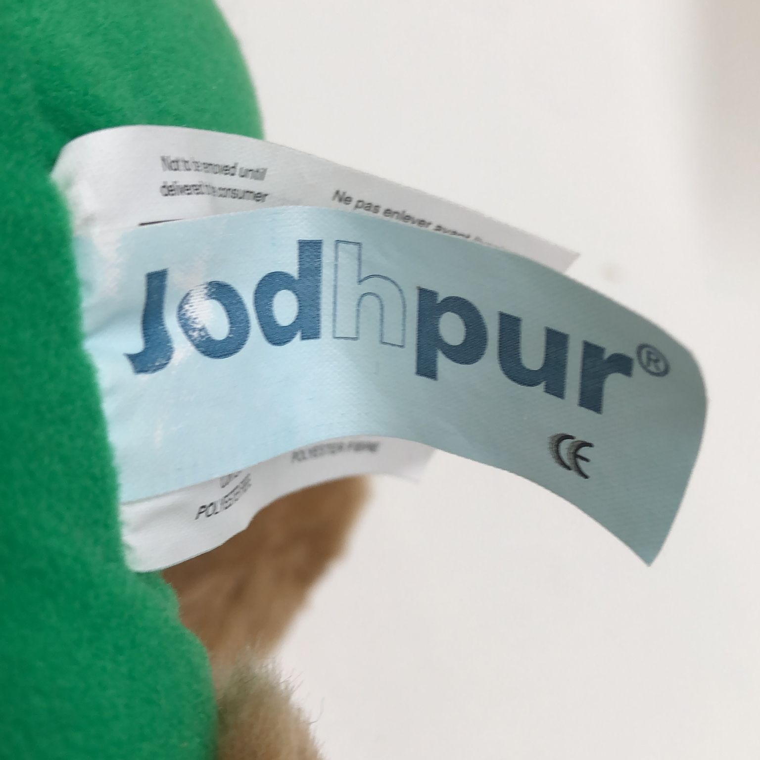 Jodhpur