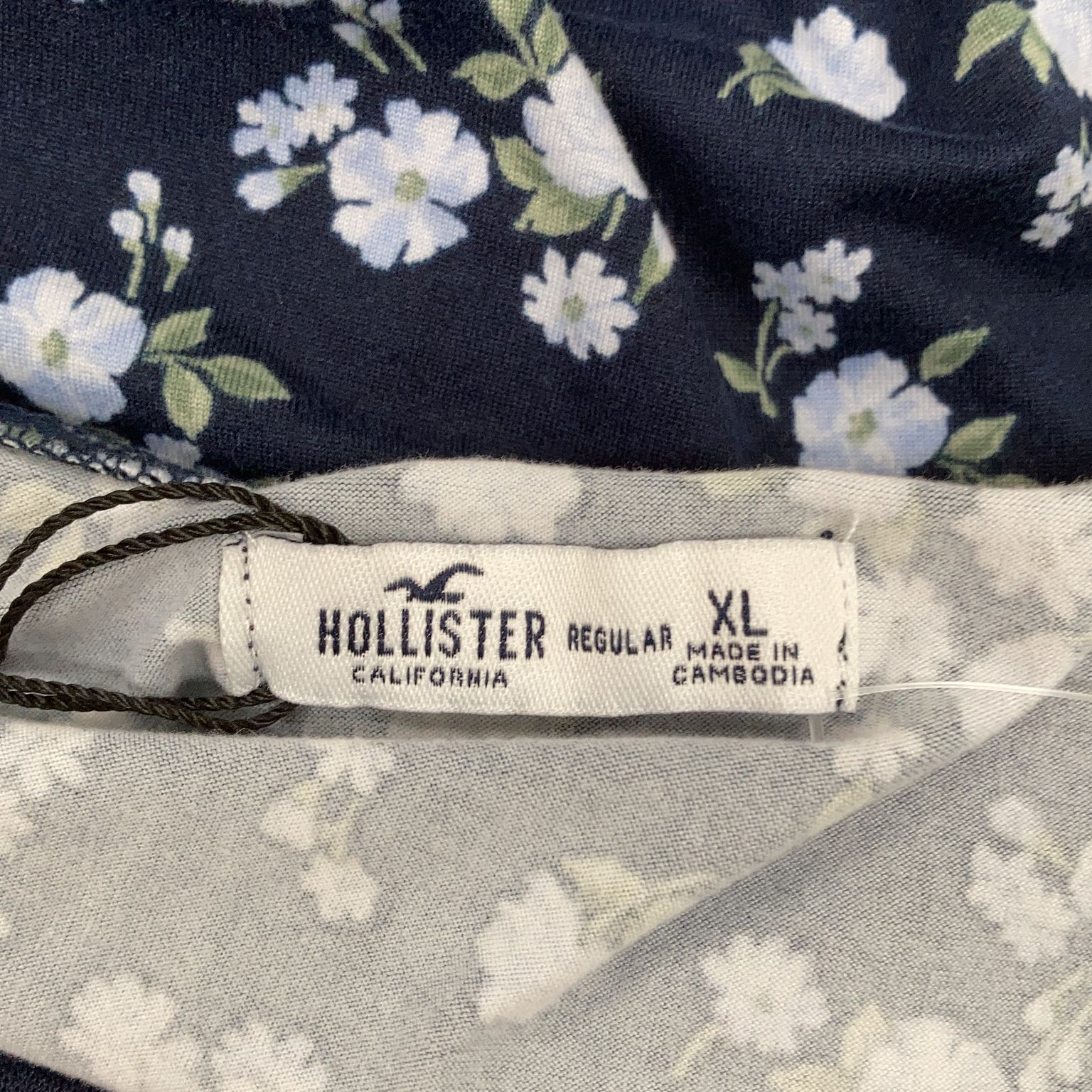 Hollister California