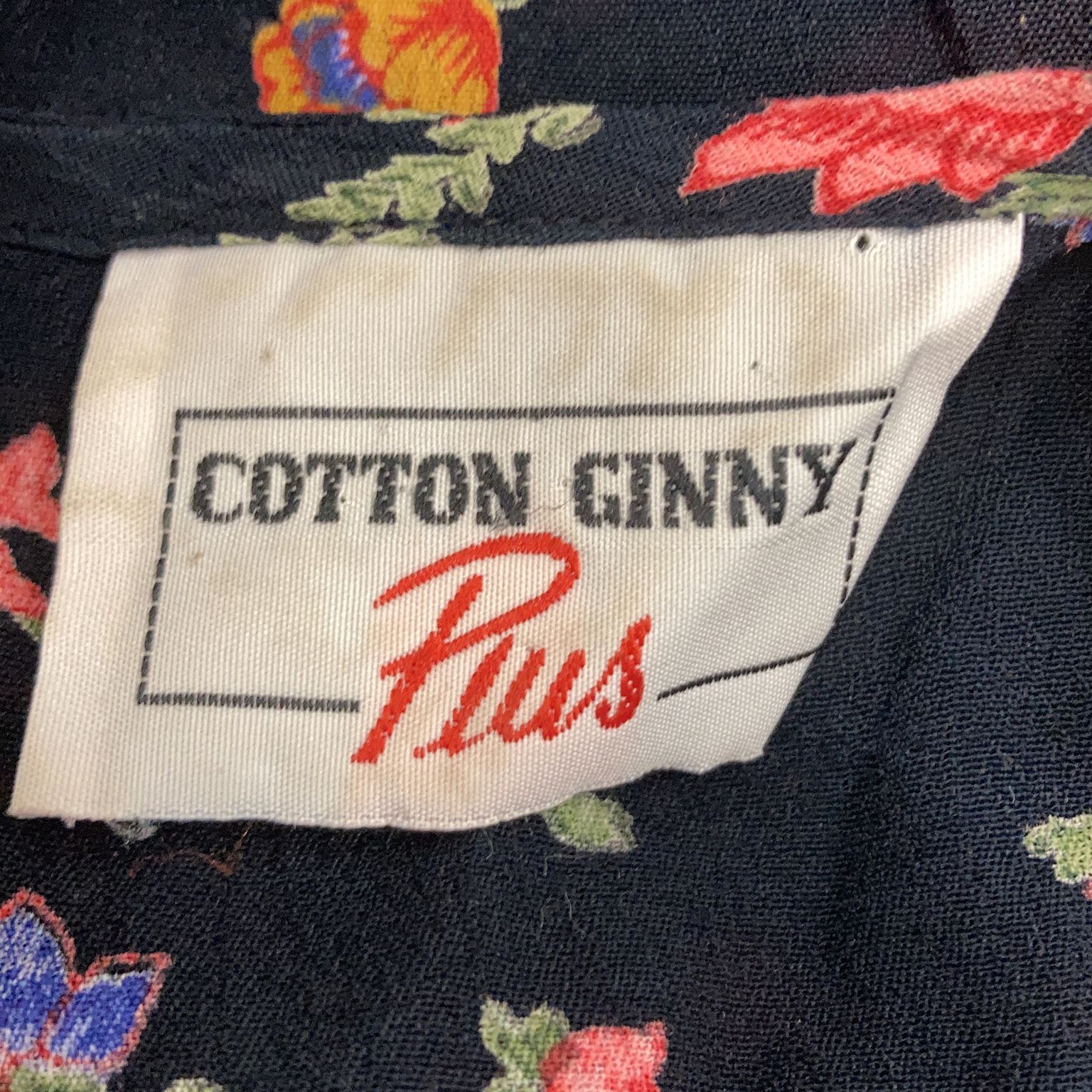 Cotton Ginny