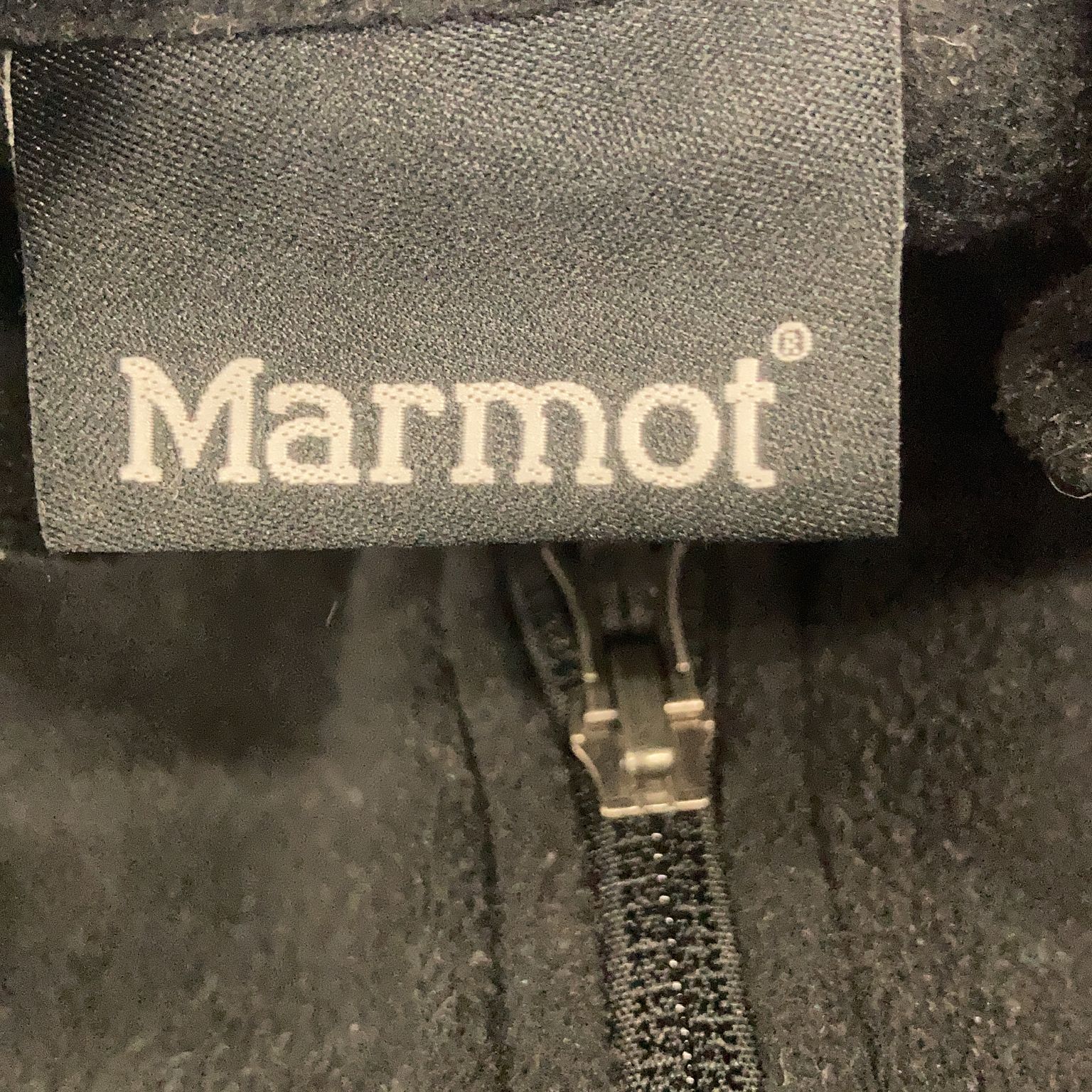 Marmot