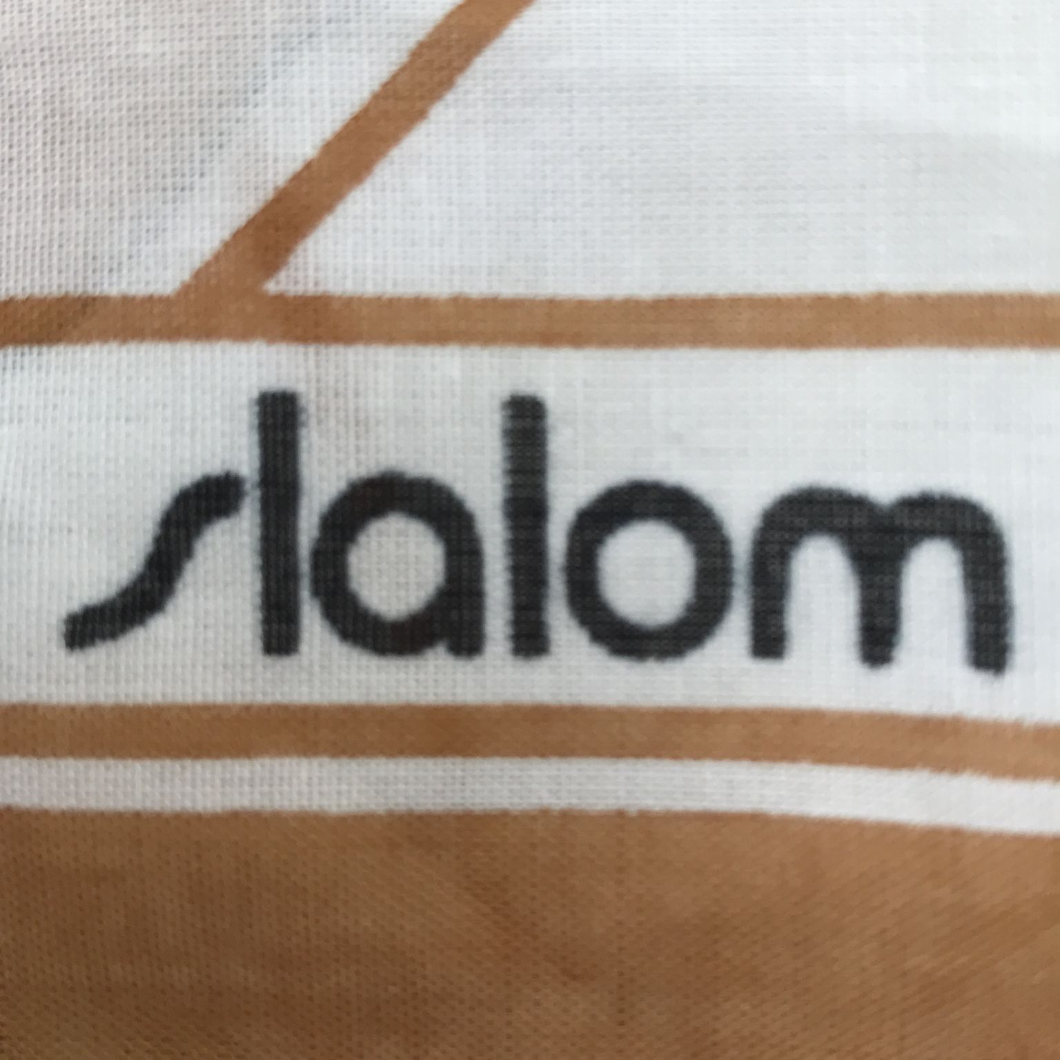 SLALOM