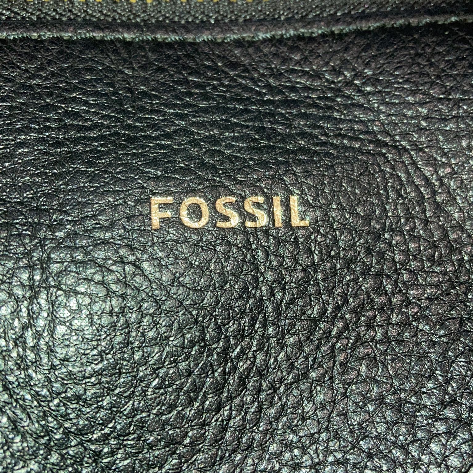 Fossil