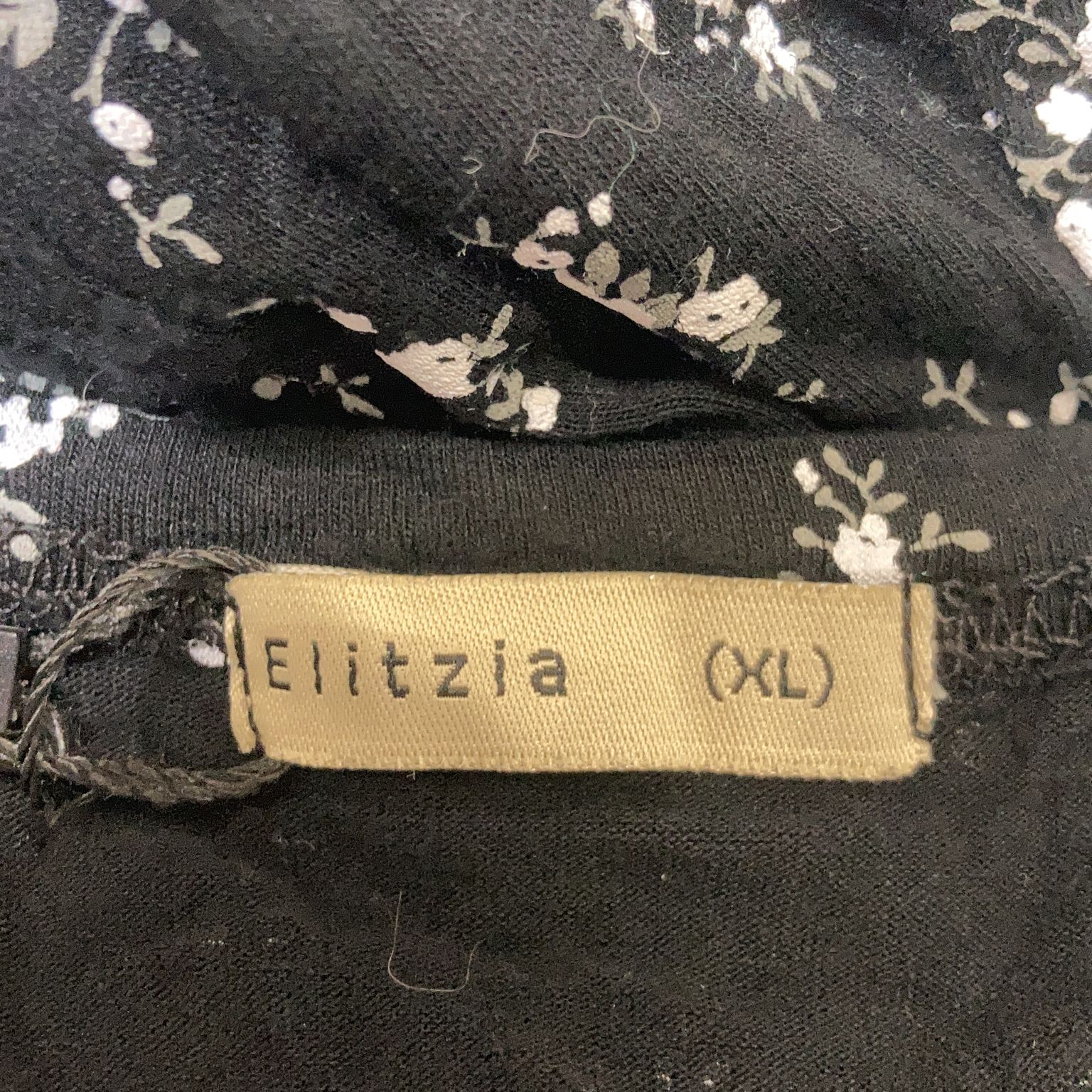 Elitzia