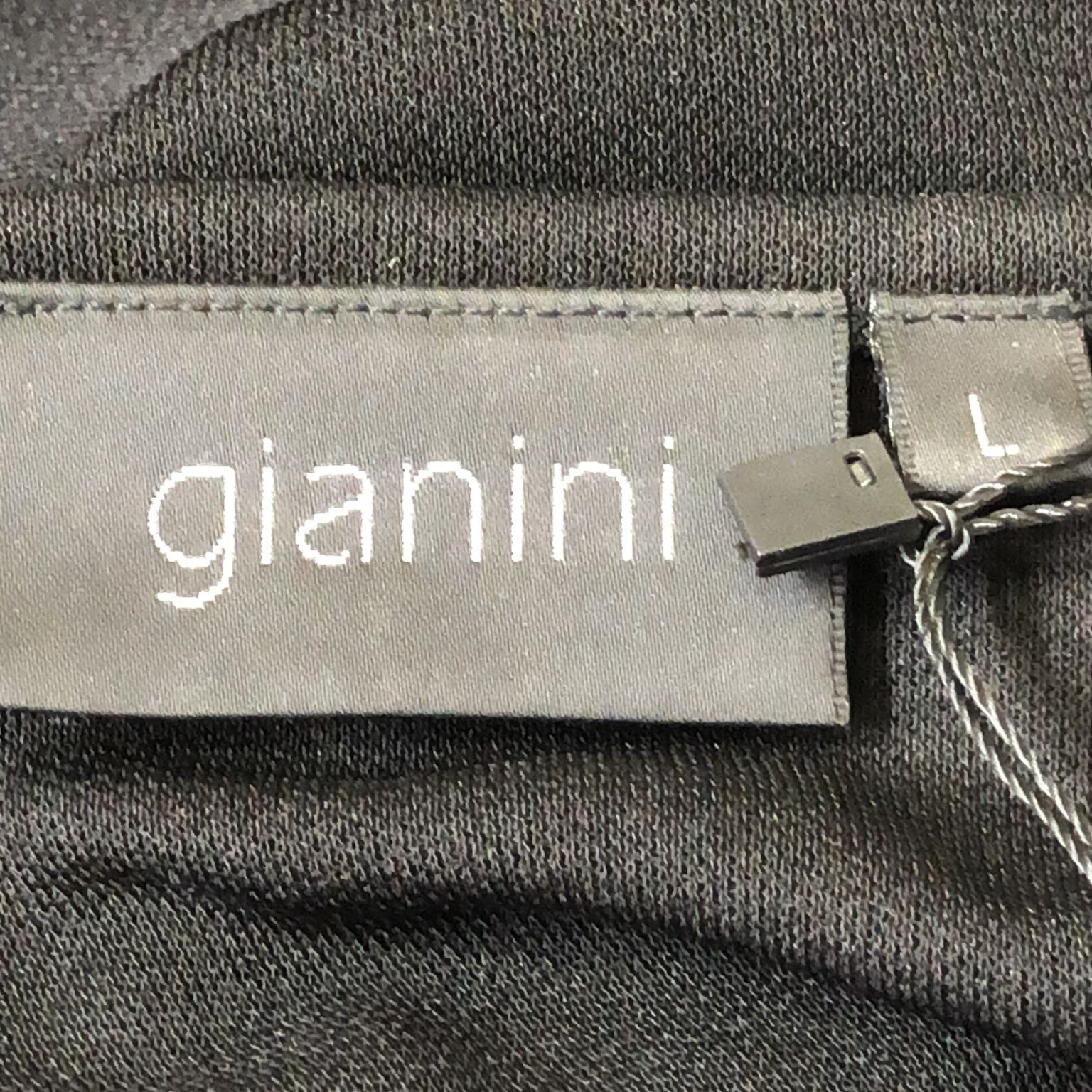 Gianini