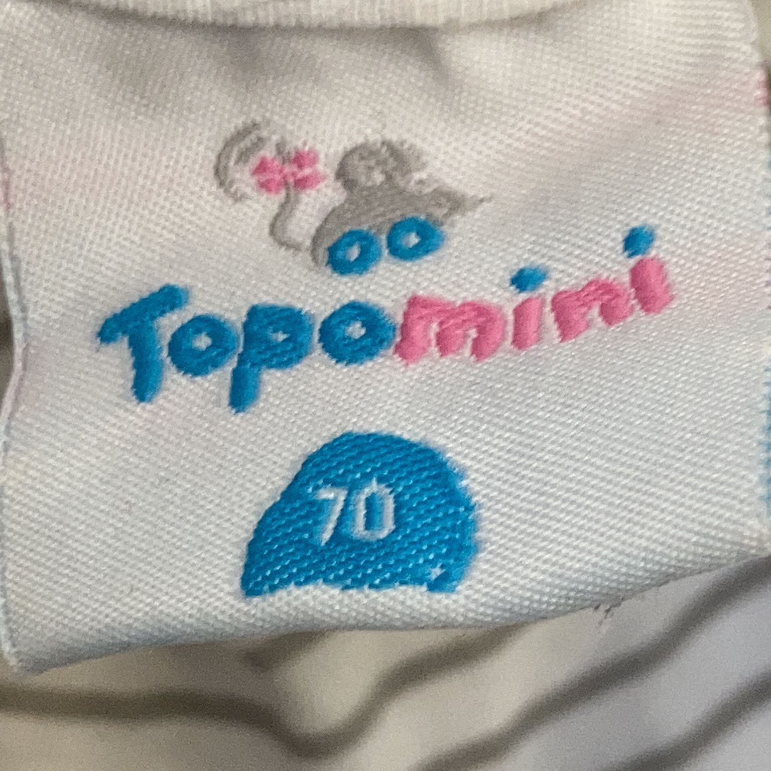 Topomini