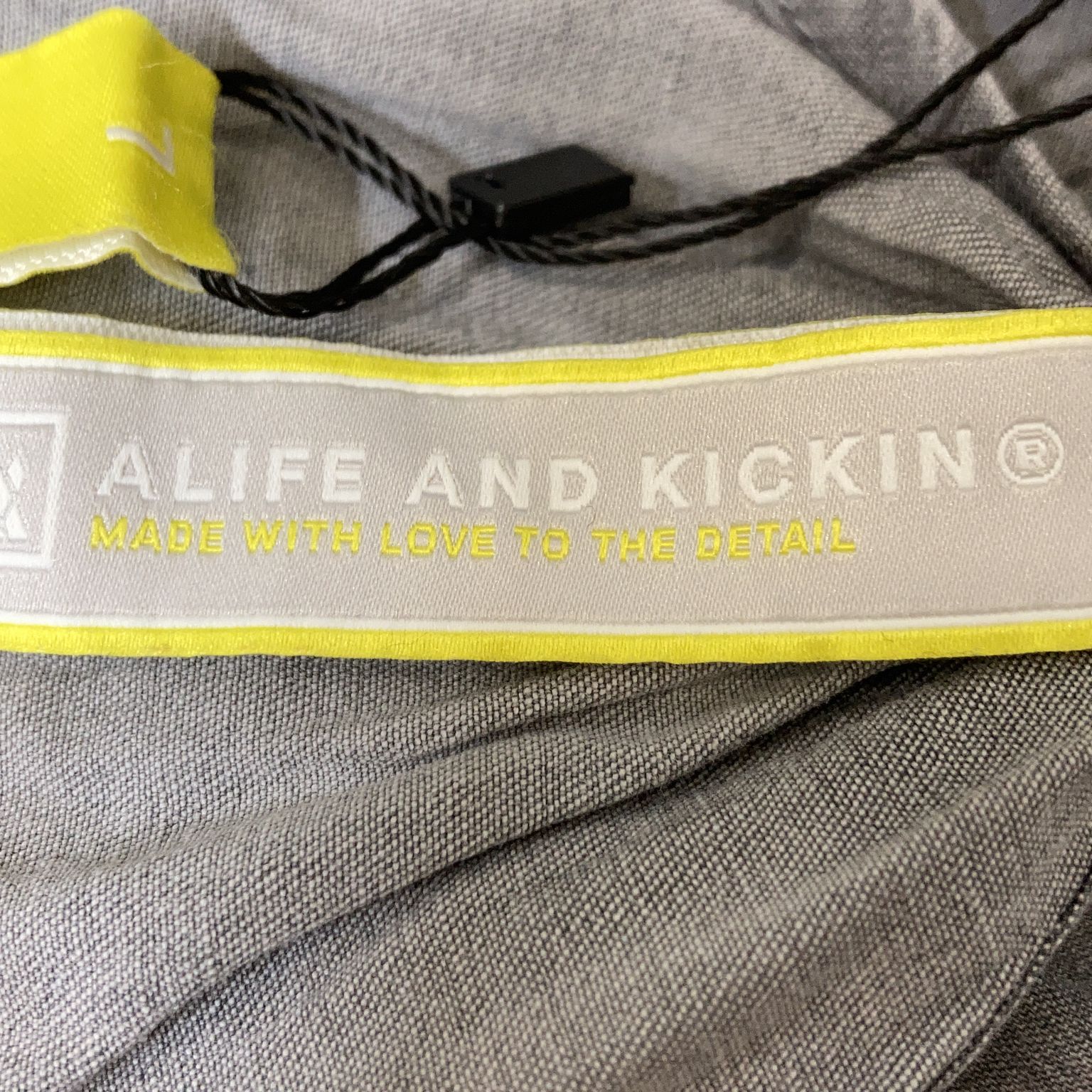 Alife and Kickin