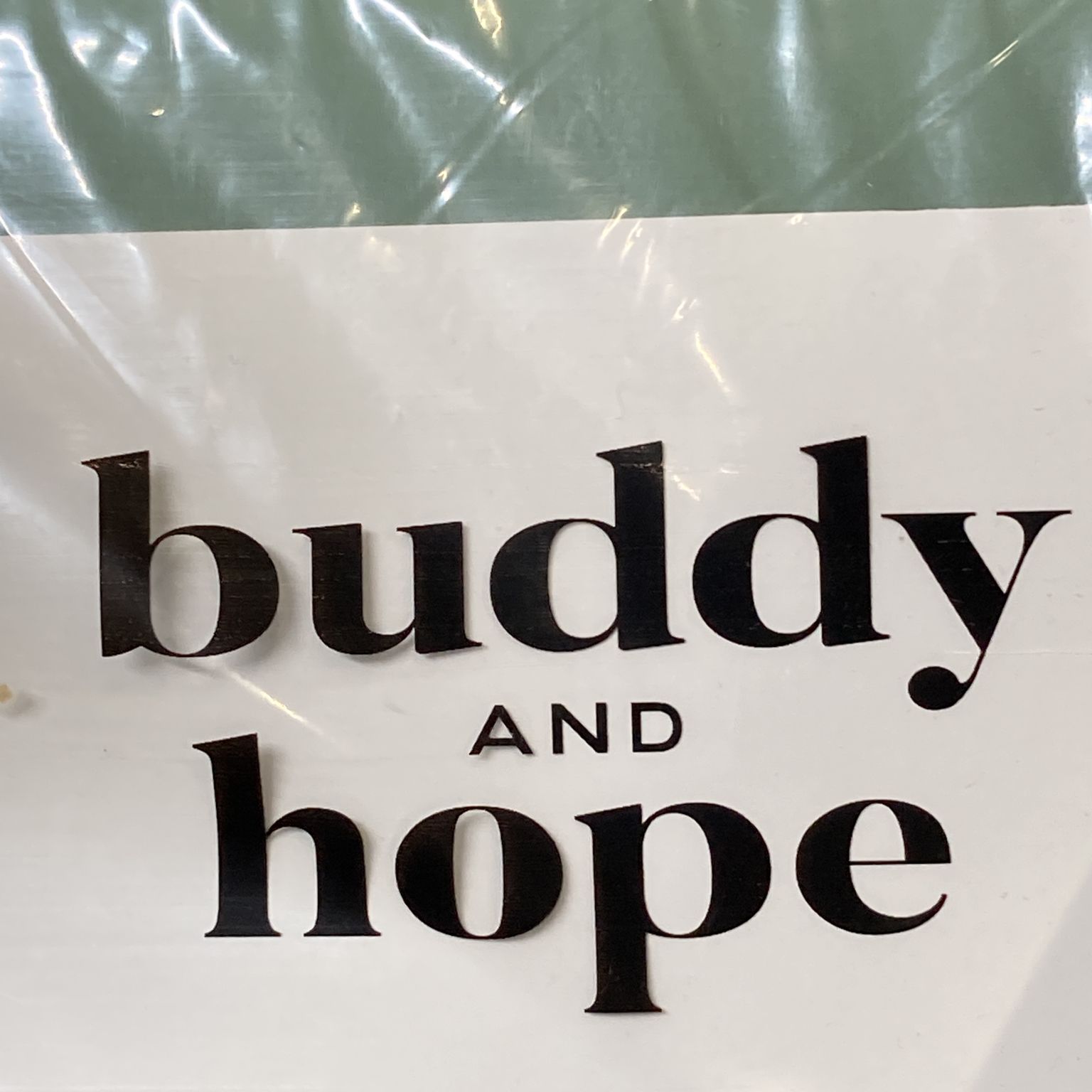 Buddy and Hope