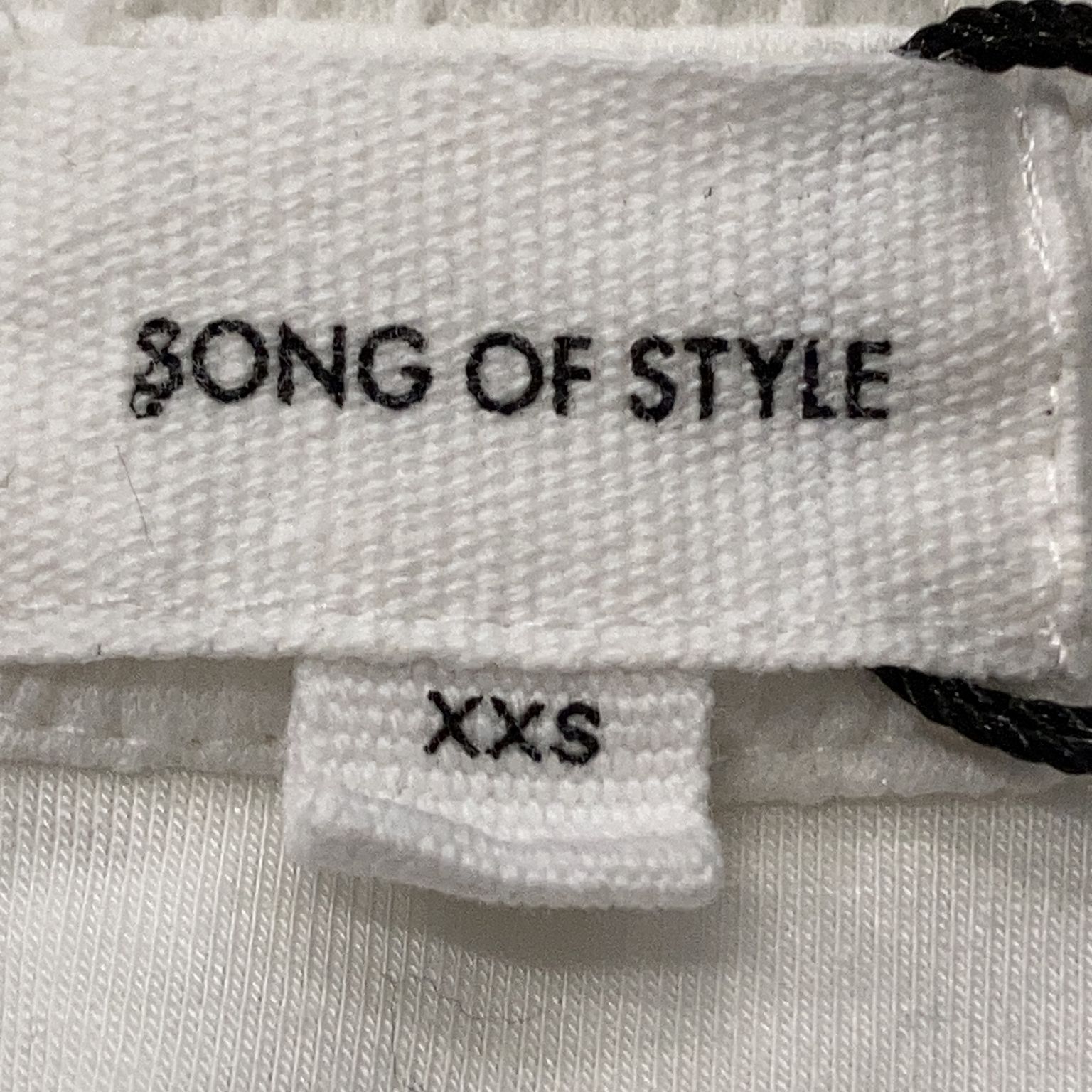 Song of Style