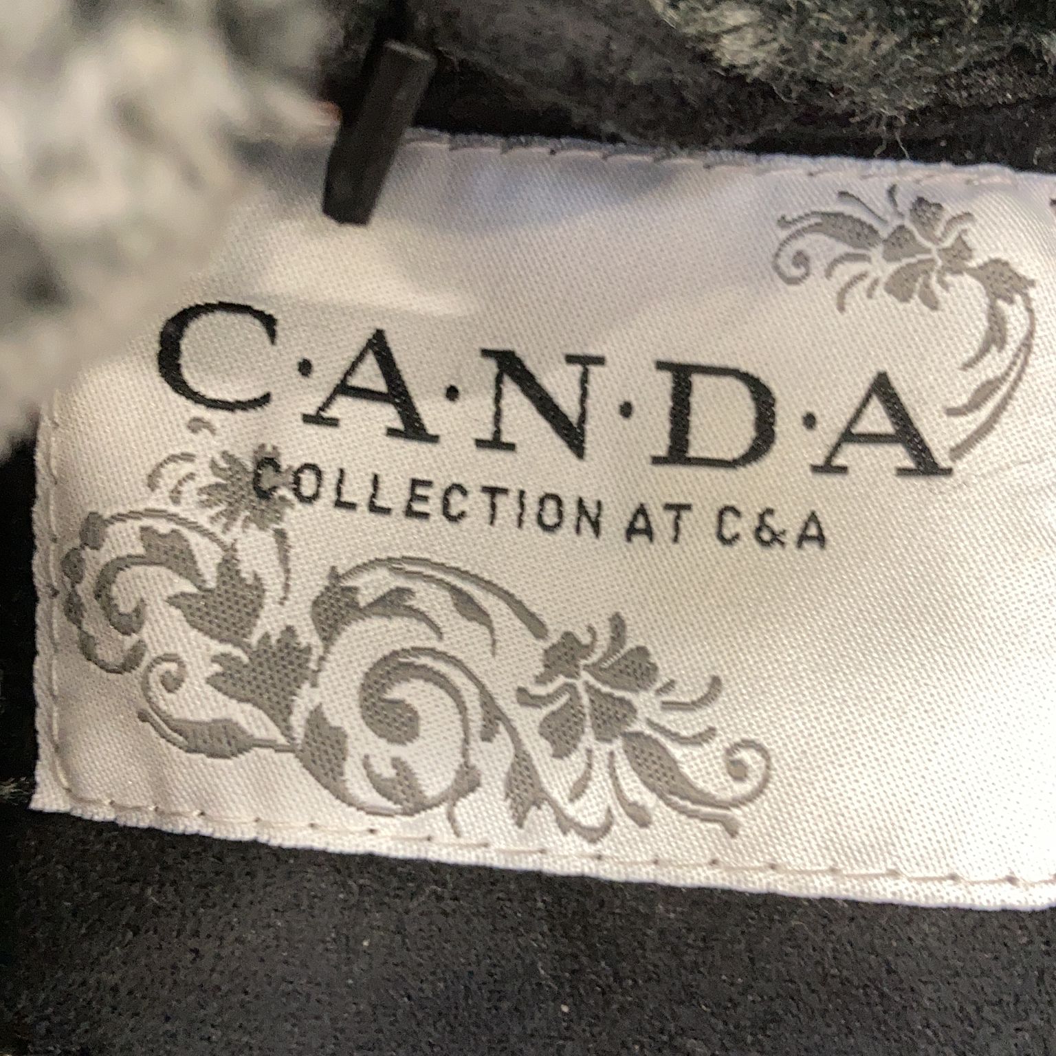 C.A.N.D.A Collection at CA