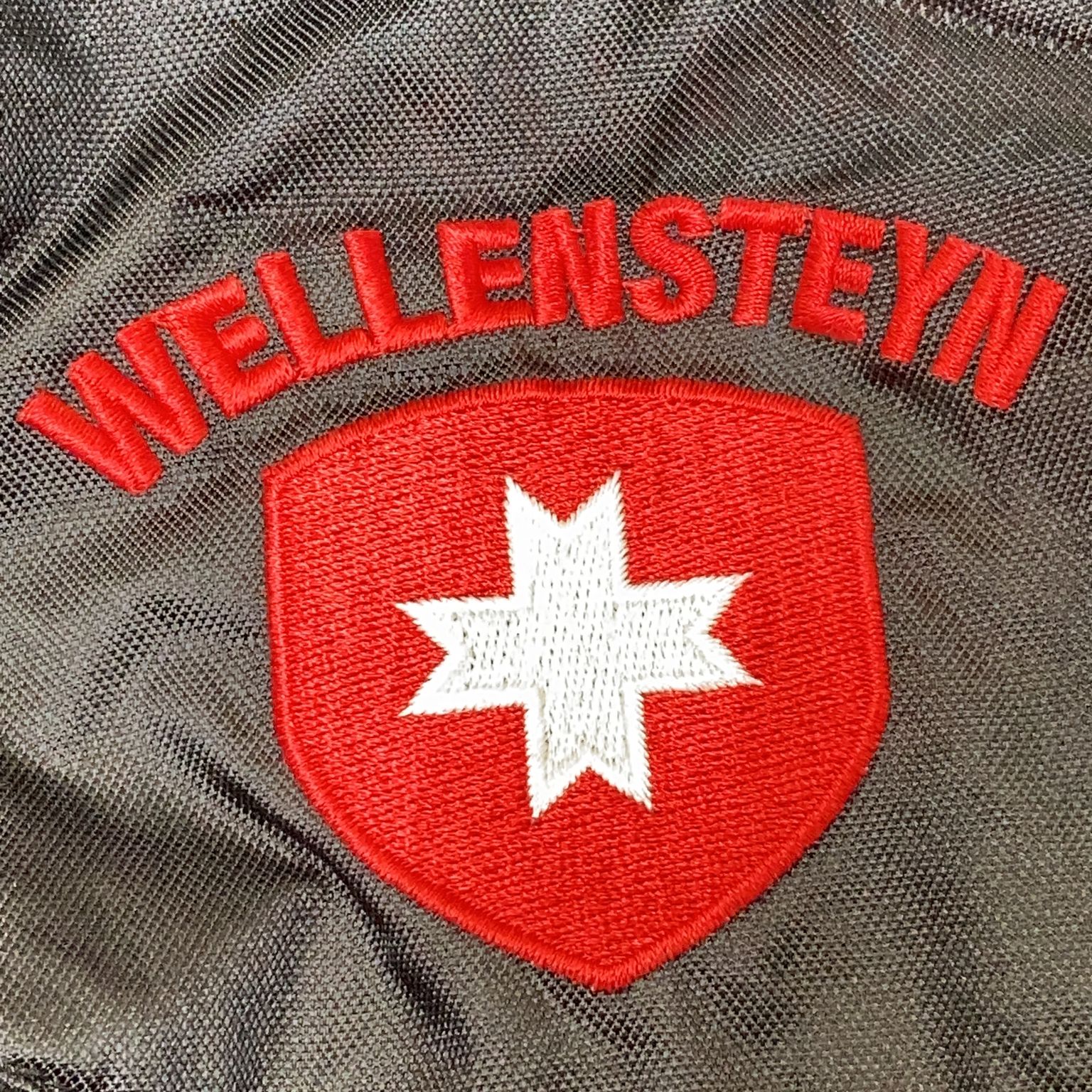 Wellensteyn