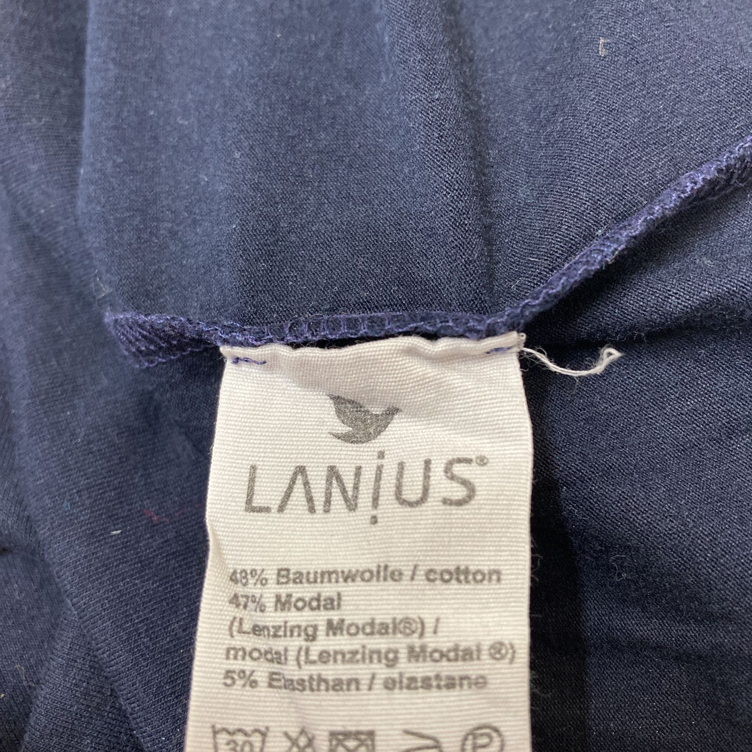 Lanius