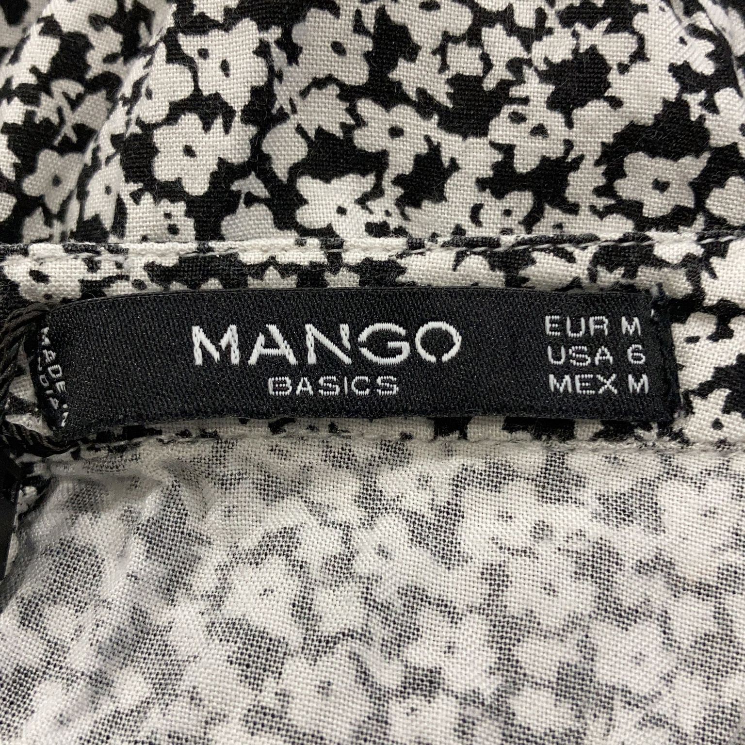 Mango Basics