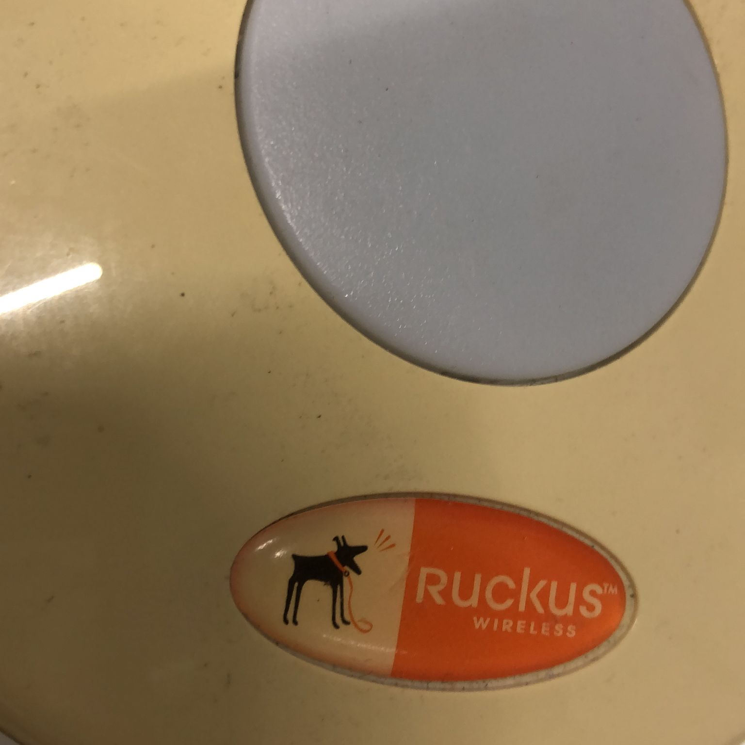 Ruckus