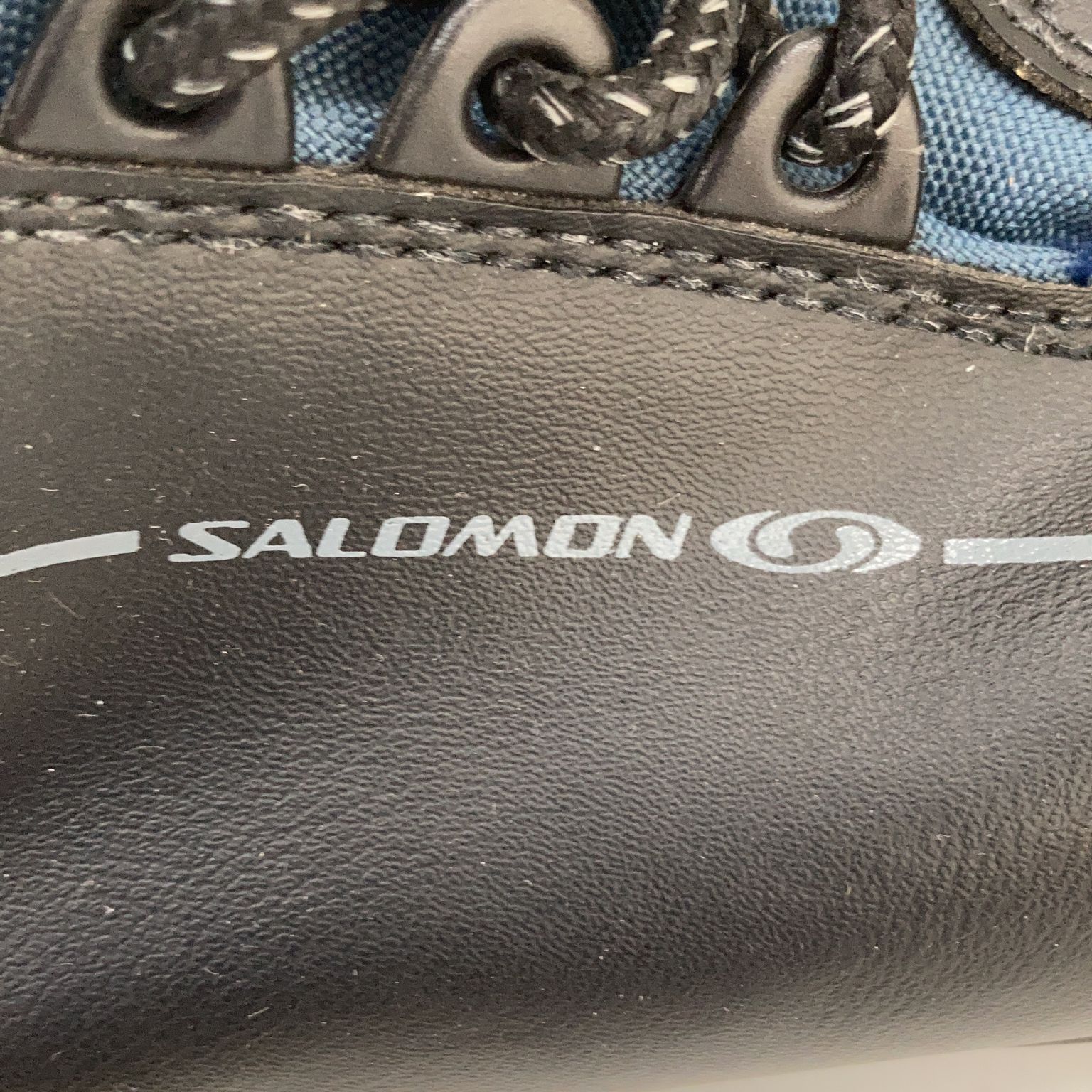 Salomon