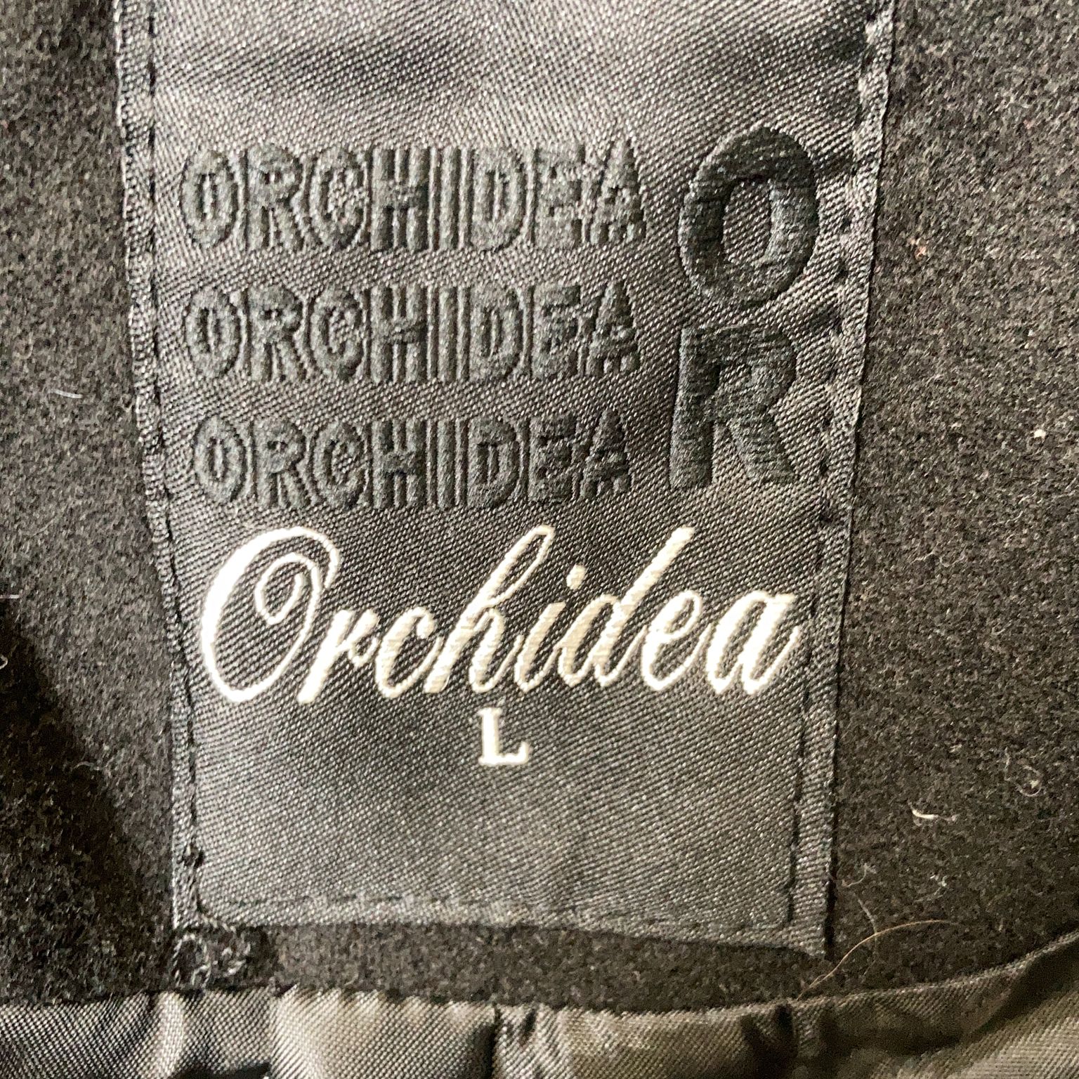 Orchidea