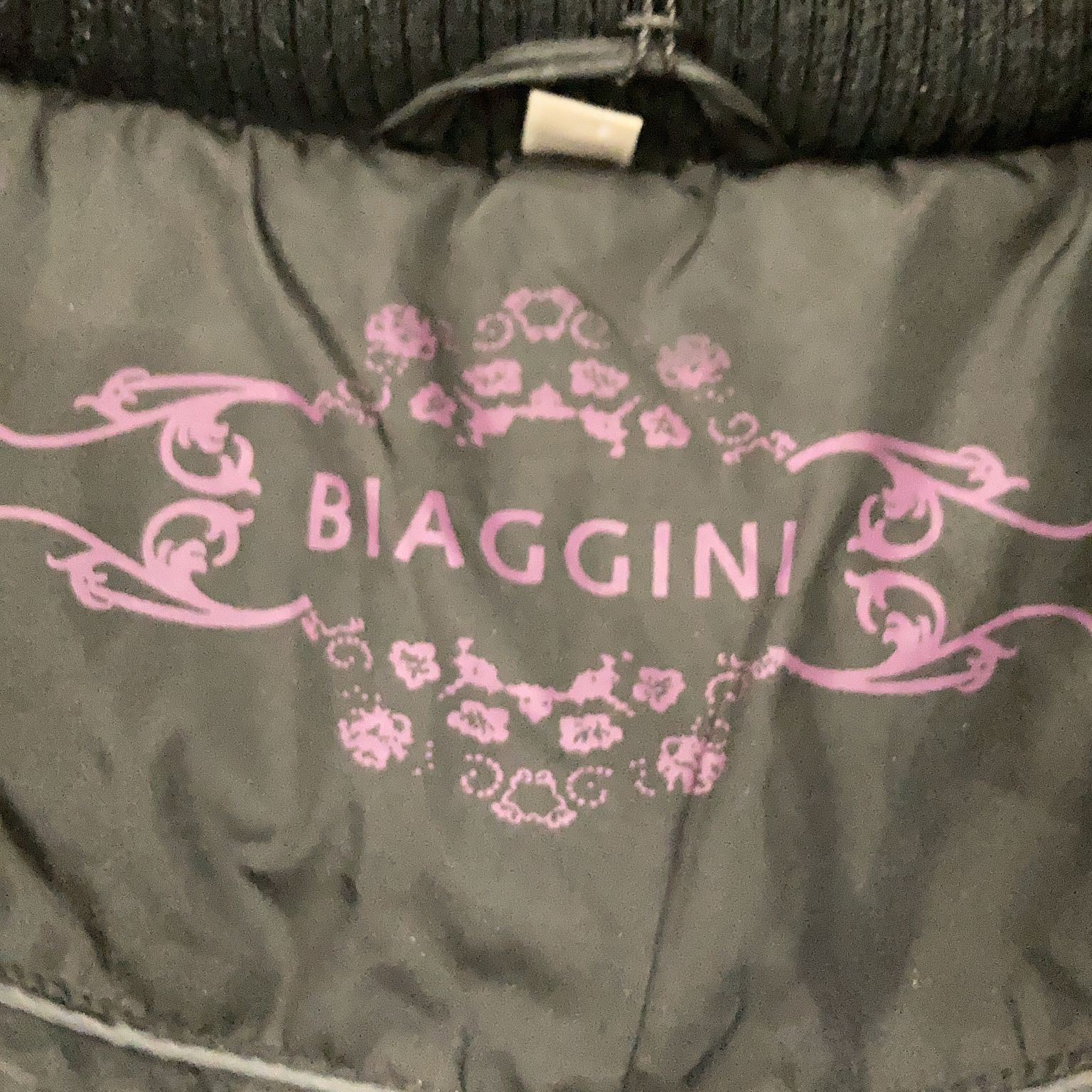 Biaggini