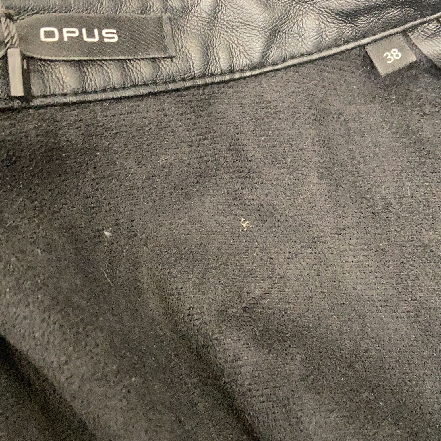 Opus