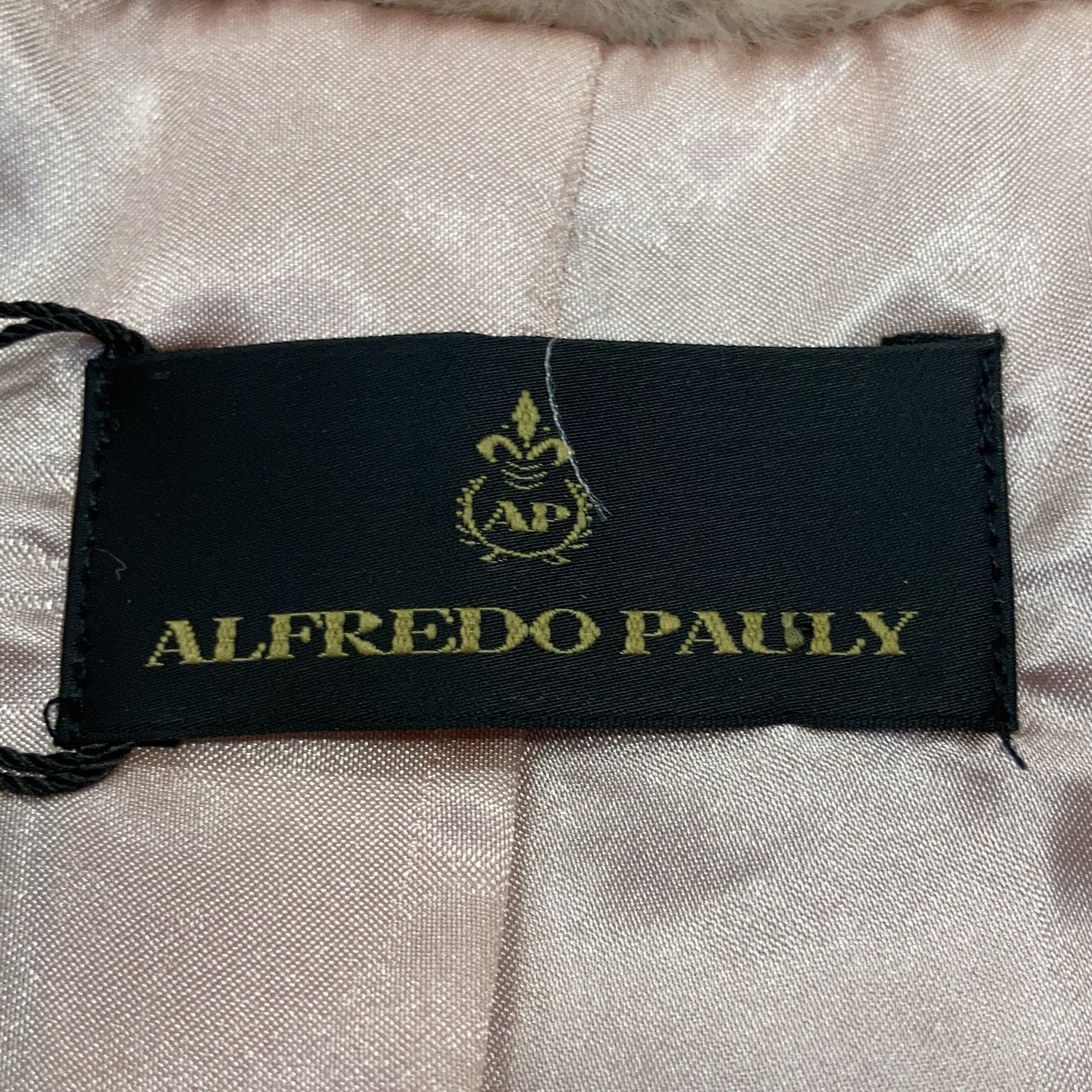 Alfredo Pauly