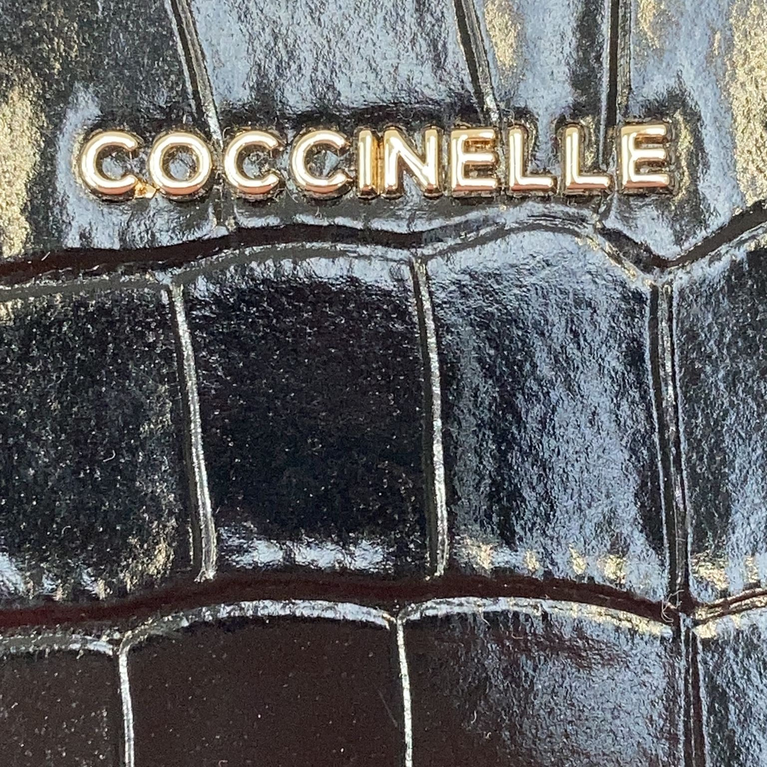 Coccinelle