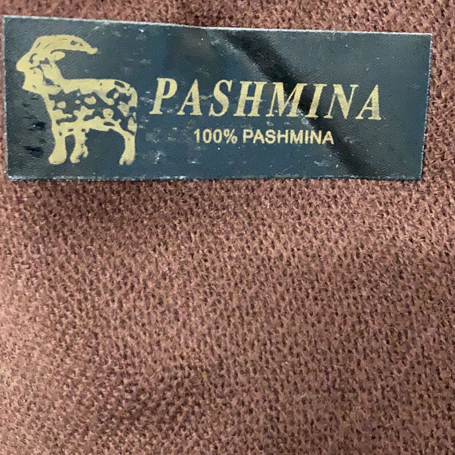 Pashmina