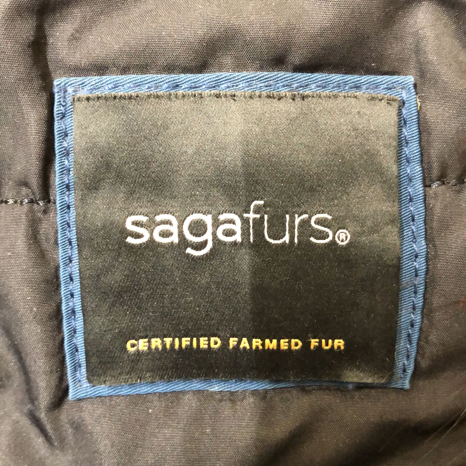 Sagafurs