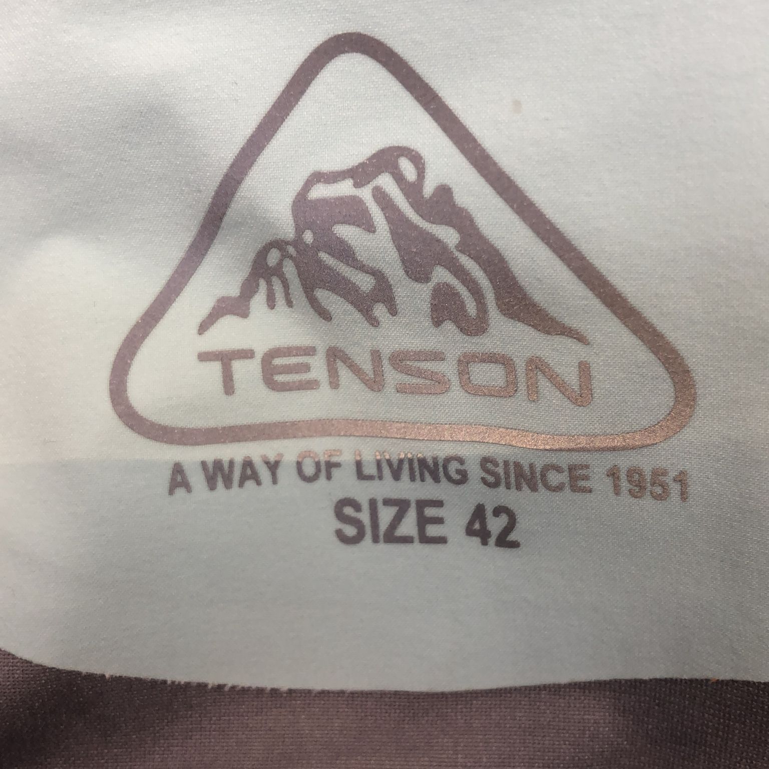 Tenson