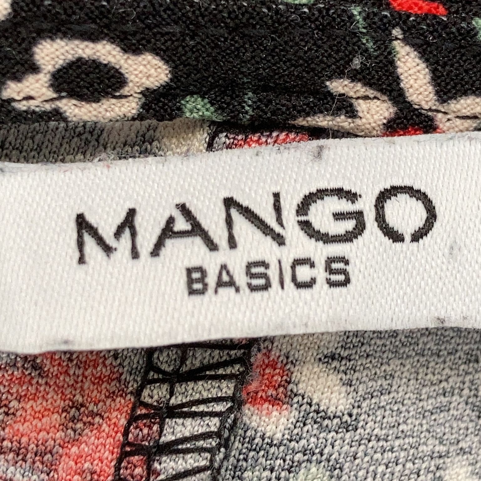 Mango Basics