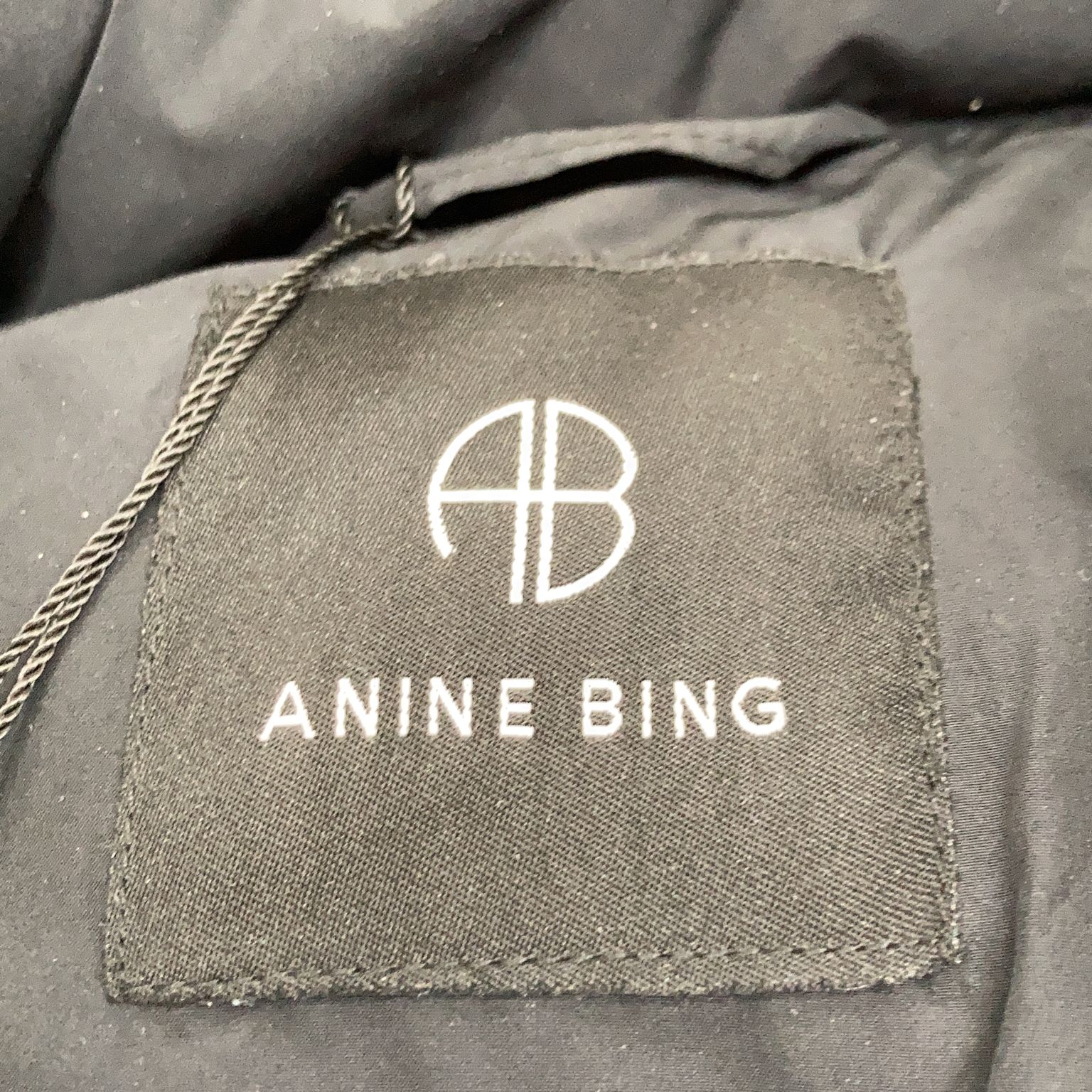 Anine Bing