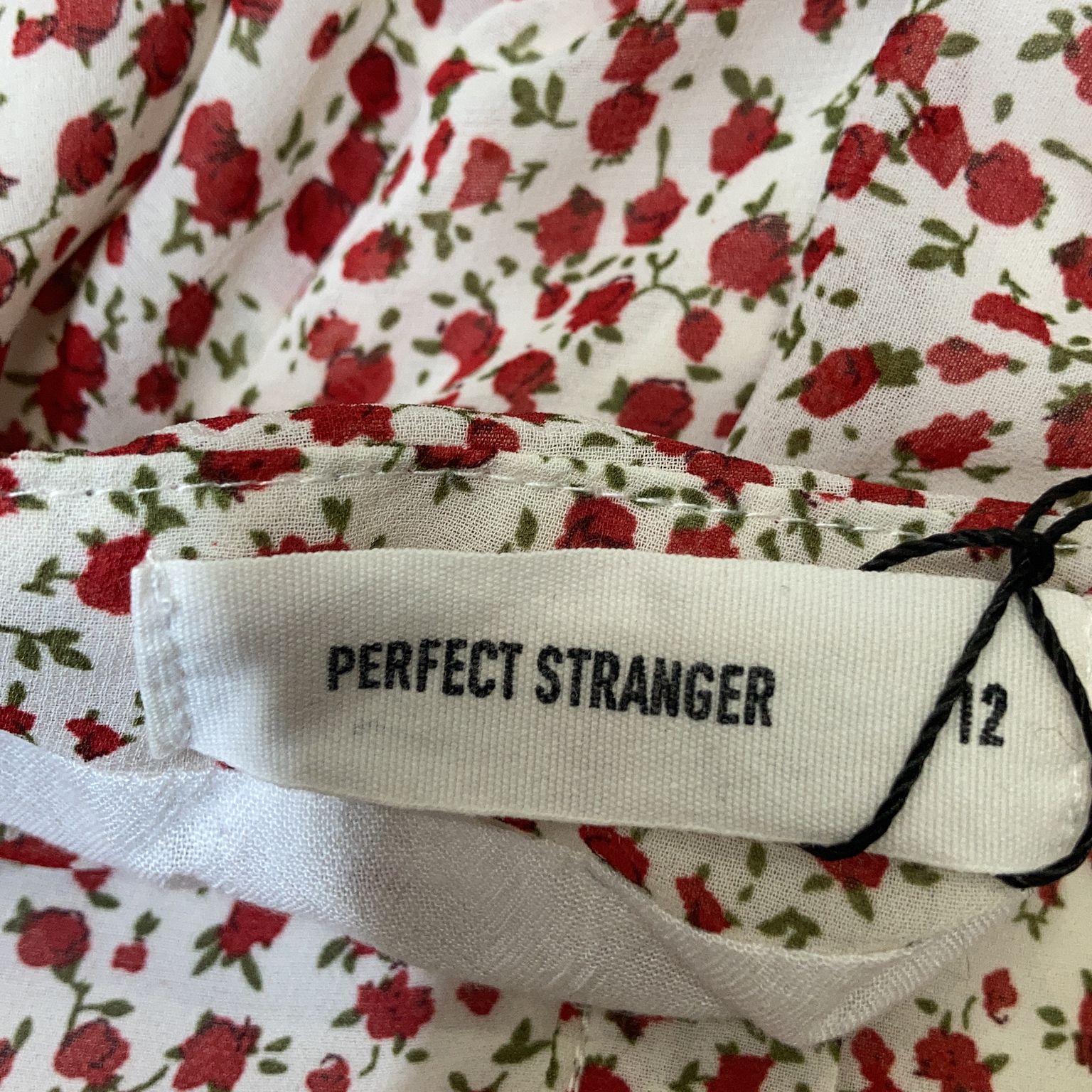 Perfect Stranger