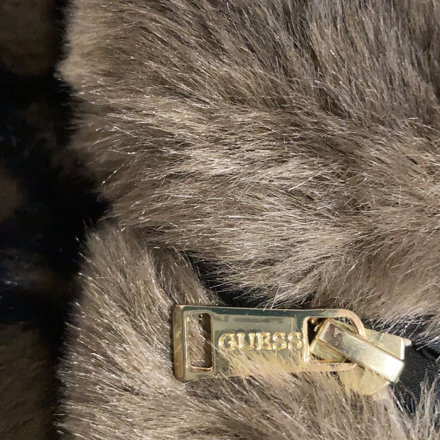 Guess